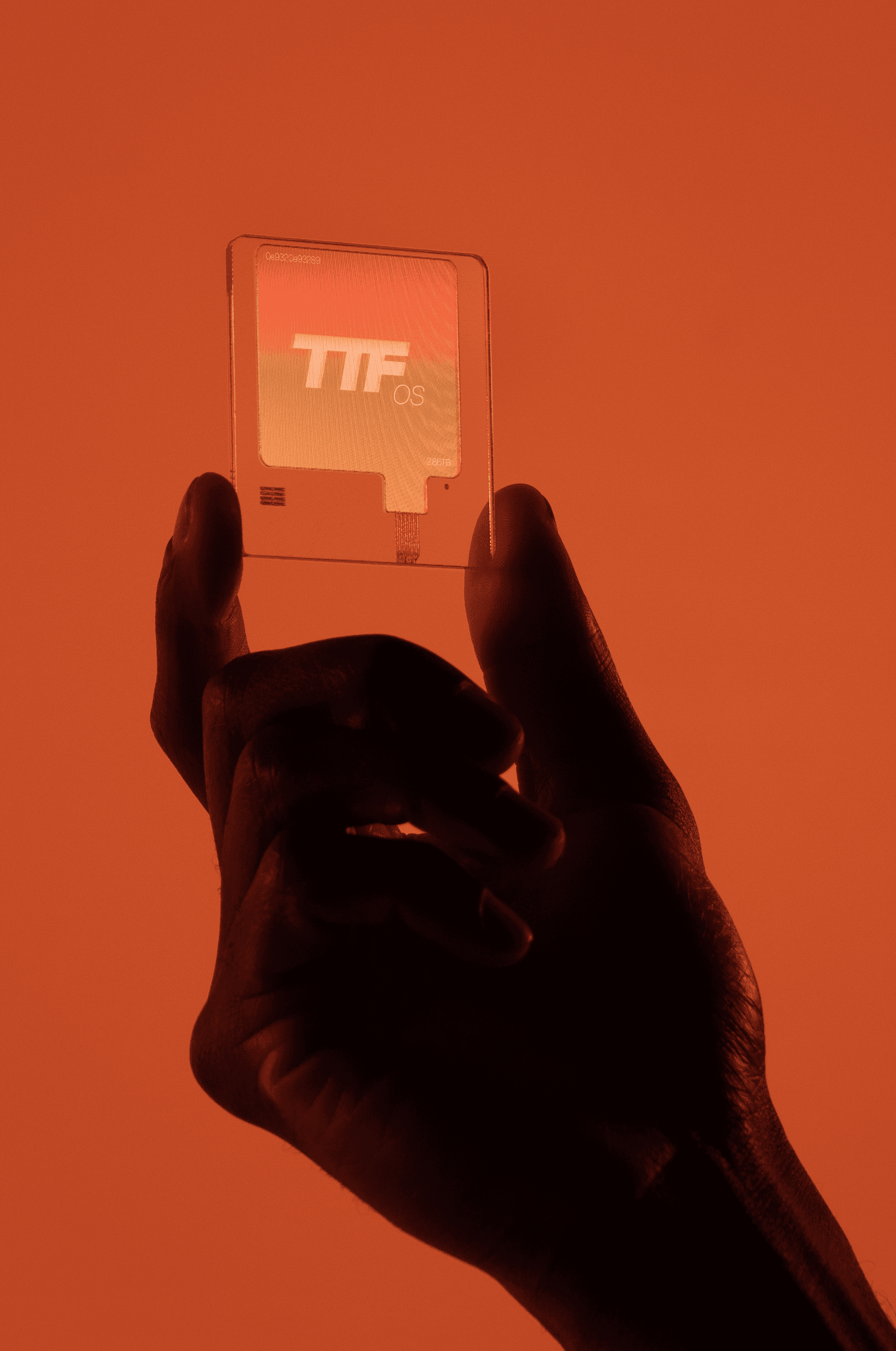 Dom Pérignon vineyards from the sky