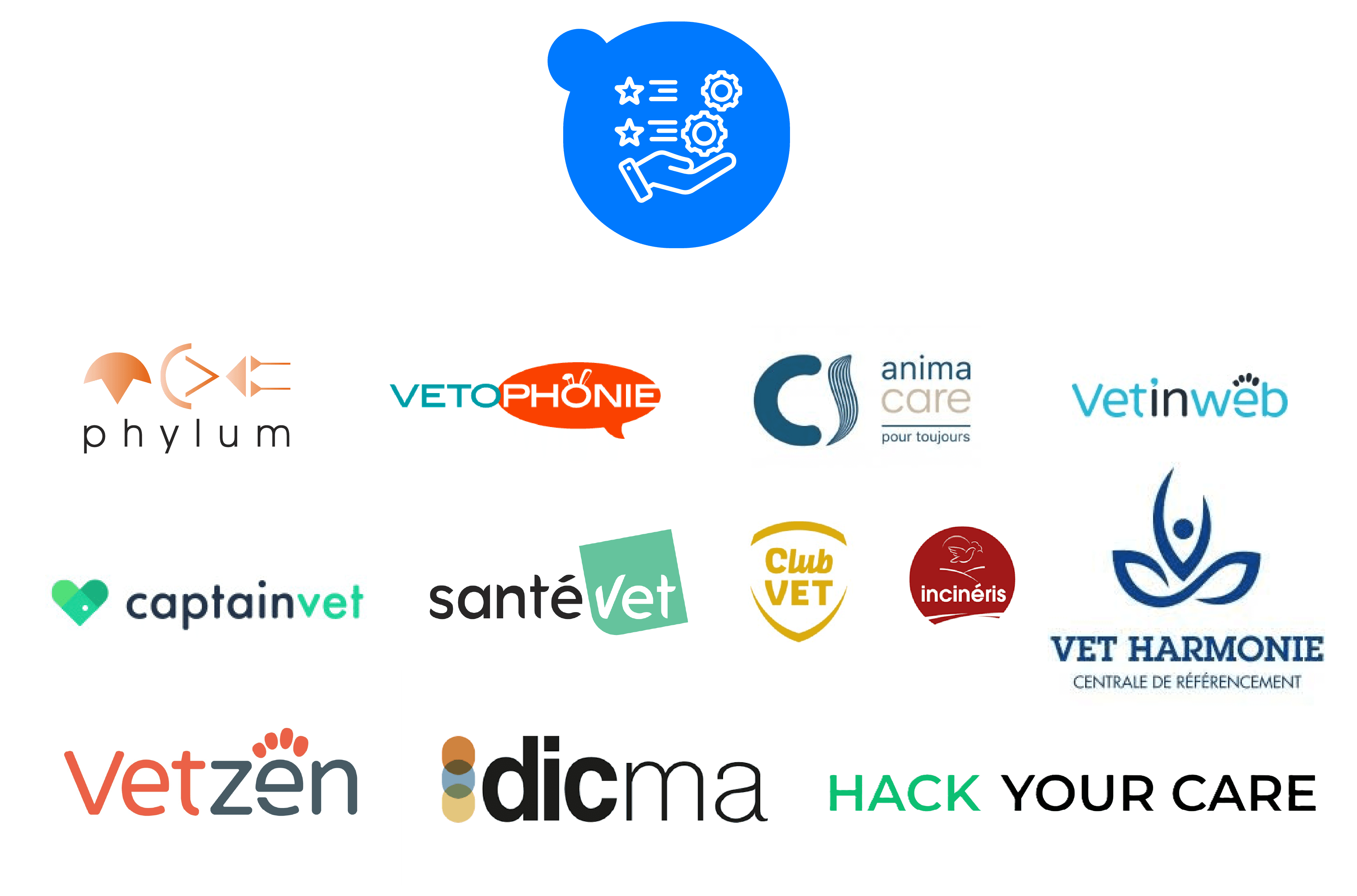 Logos des services vétérinaires partenaires : Phylum, Vetophonie, Animacare, Vetinweb, Captainvet, Santévet, Club Vet, Incinéris, Vet Harmonie Centrale de Référencement, Vetzen, Dicma et 10 Petits Zèbres, avec une icône de services en haut