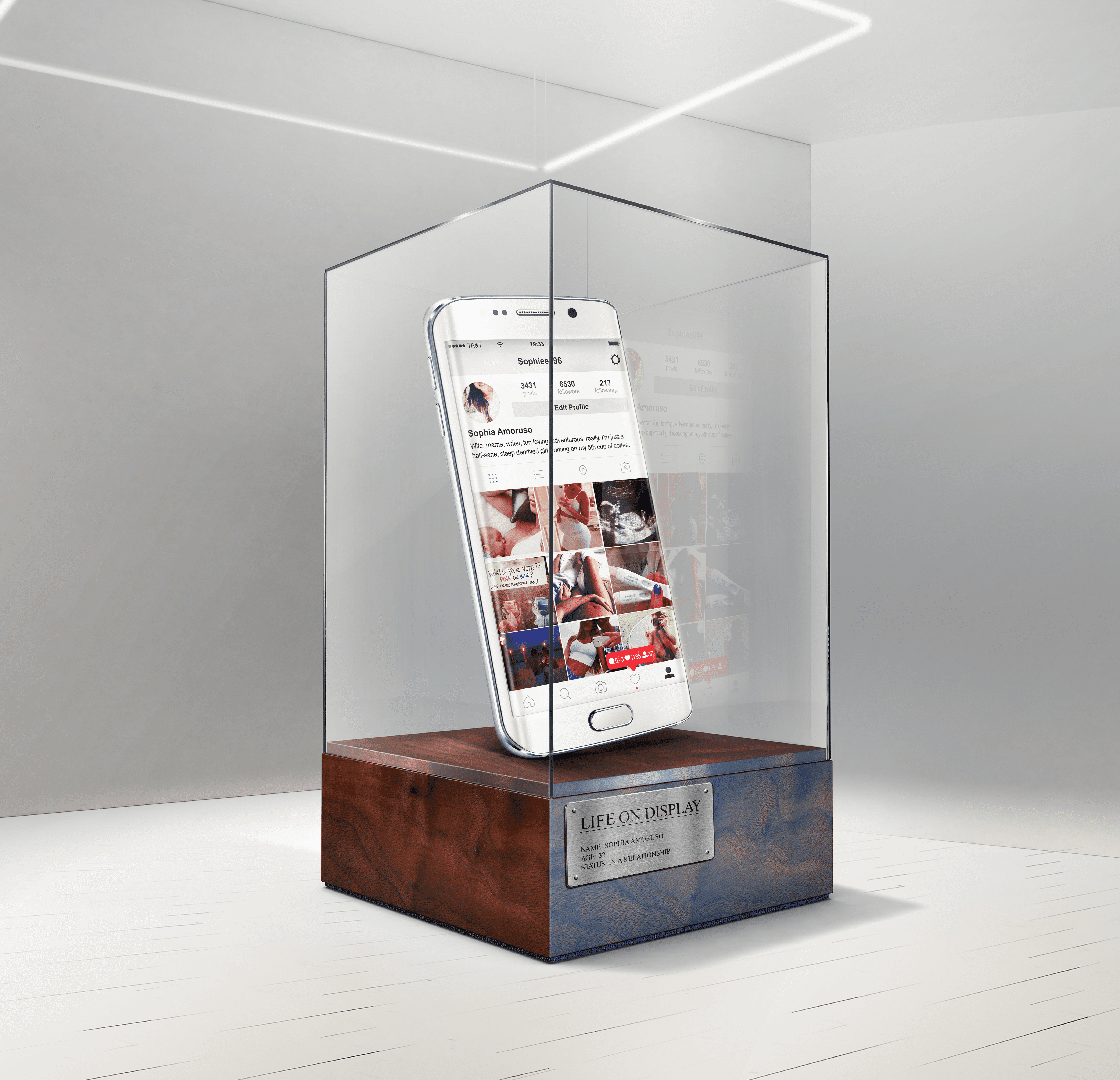 Phone on Display Image