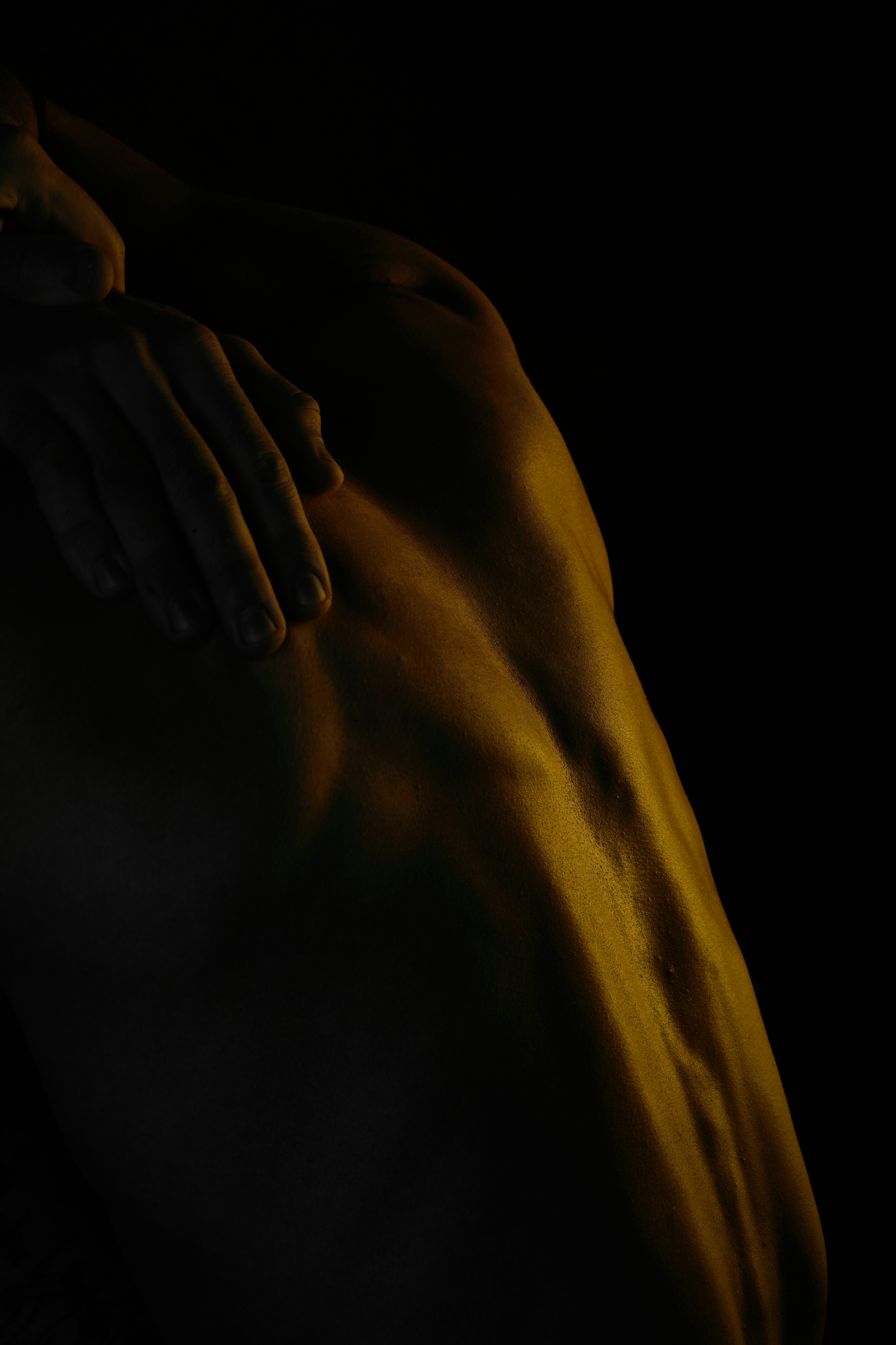 columna vertebral en luz cálida