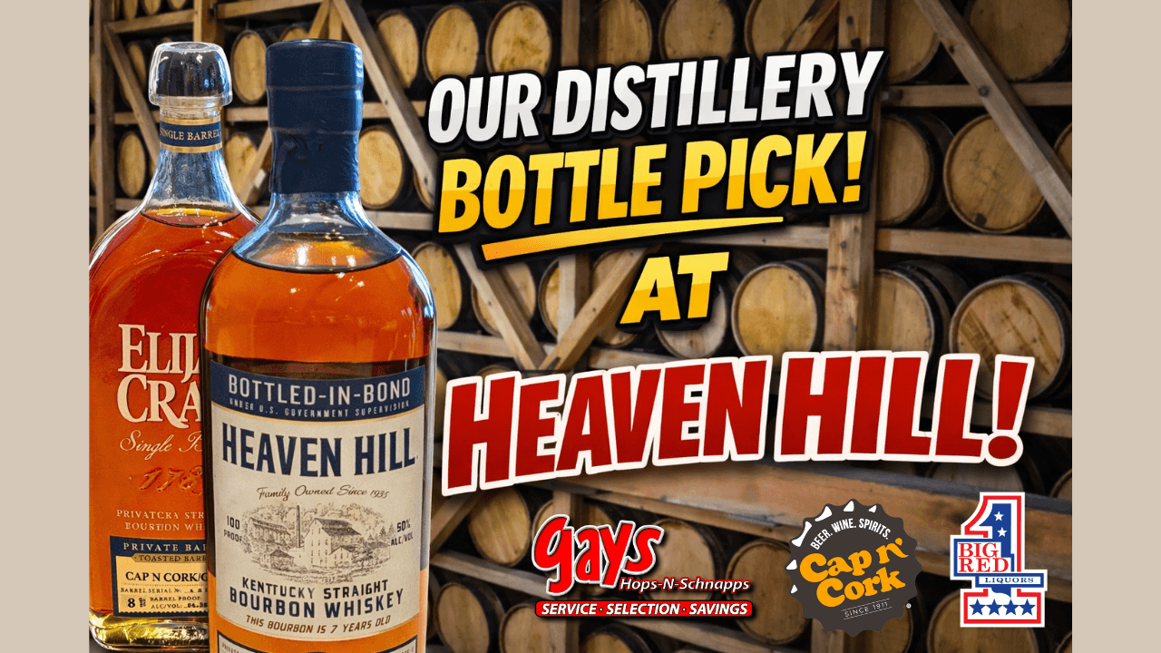 Close up of man going over finance papers