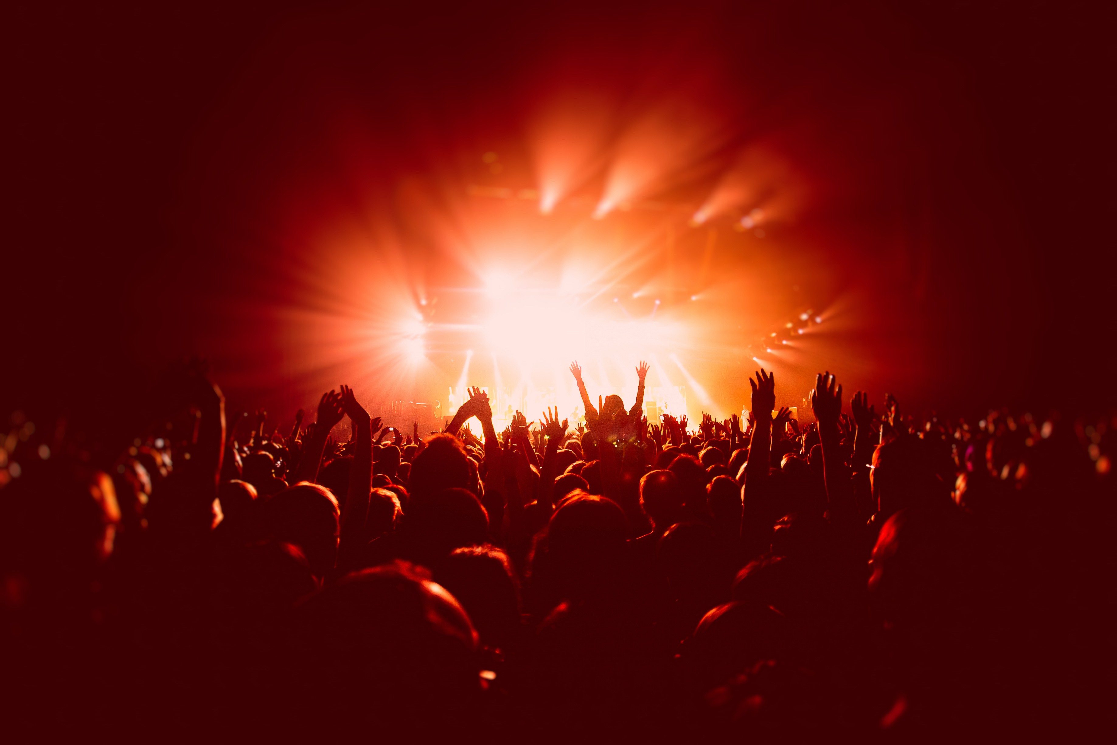 banner-image