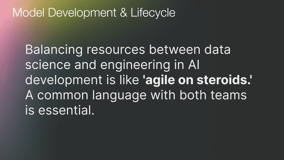 model development and lifecycle