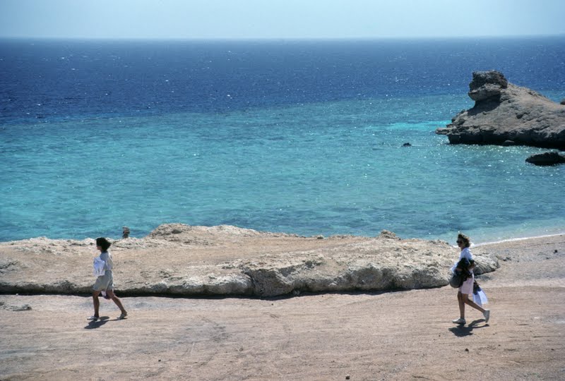 Green aurora lights in the sky at night