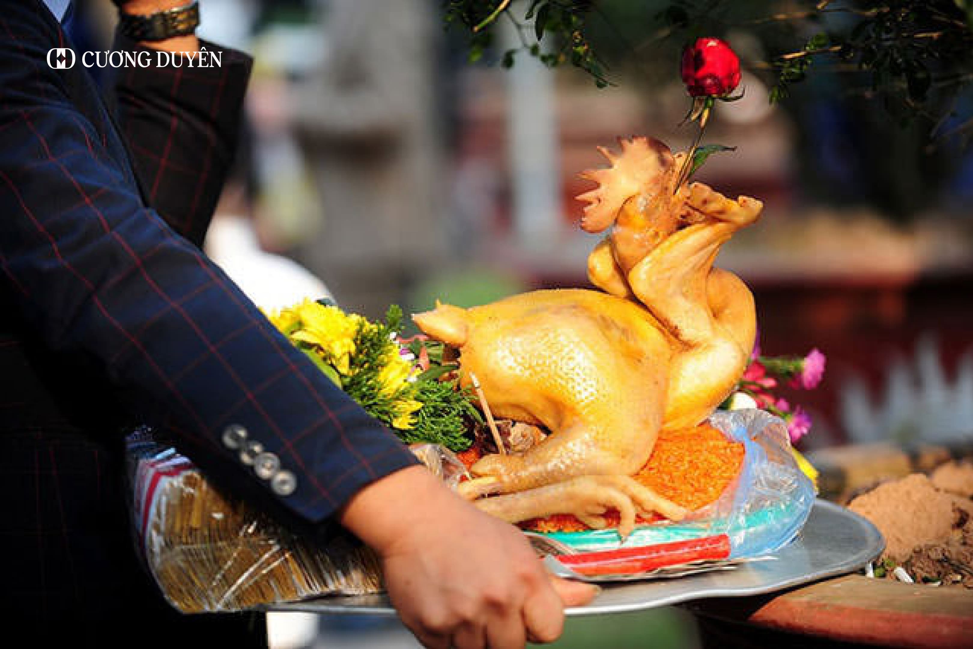 gà cúng giao thừa quay đầu ra hay vào​