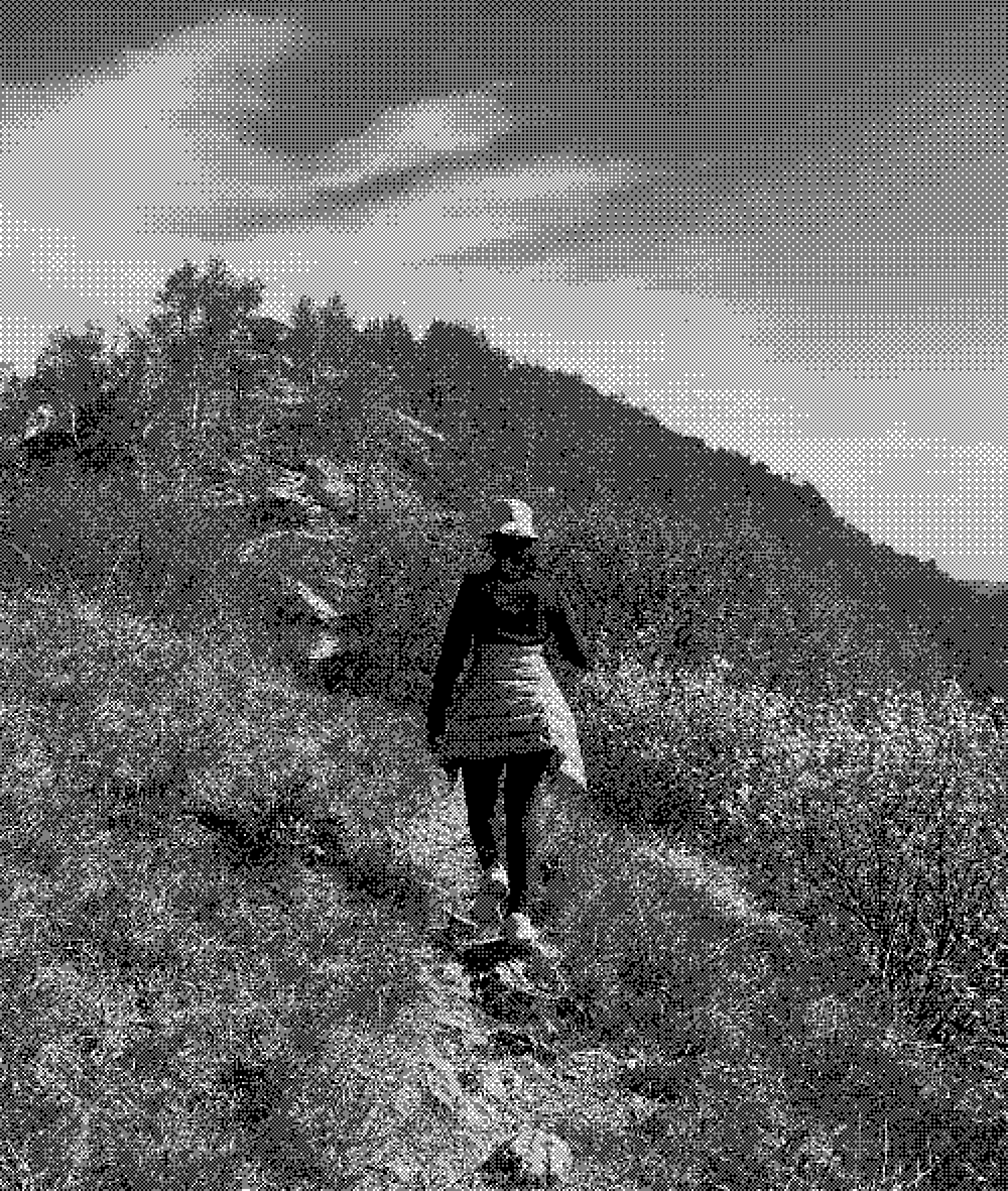 two hot air balloons in the sky during daytime