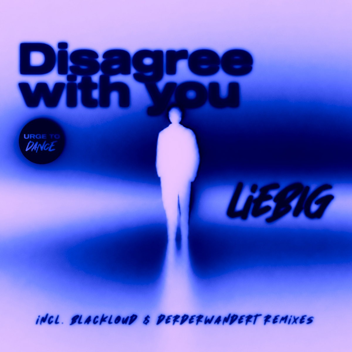 Liebig – Disagree With You EP cover art