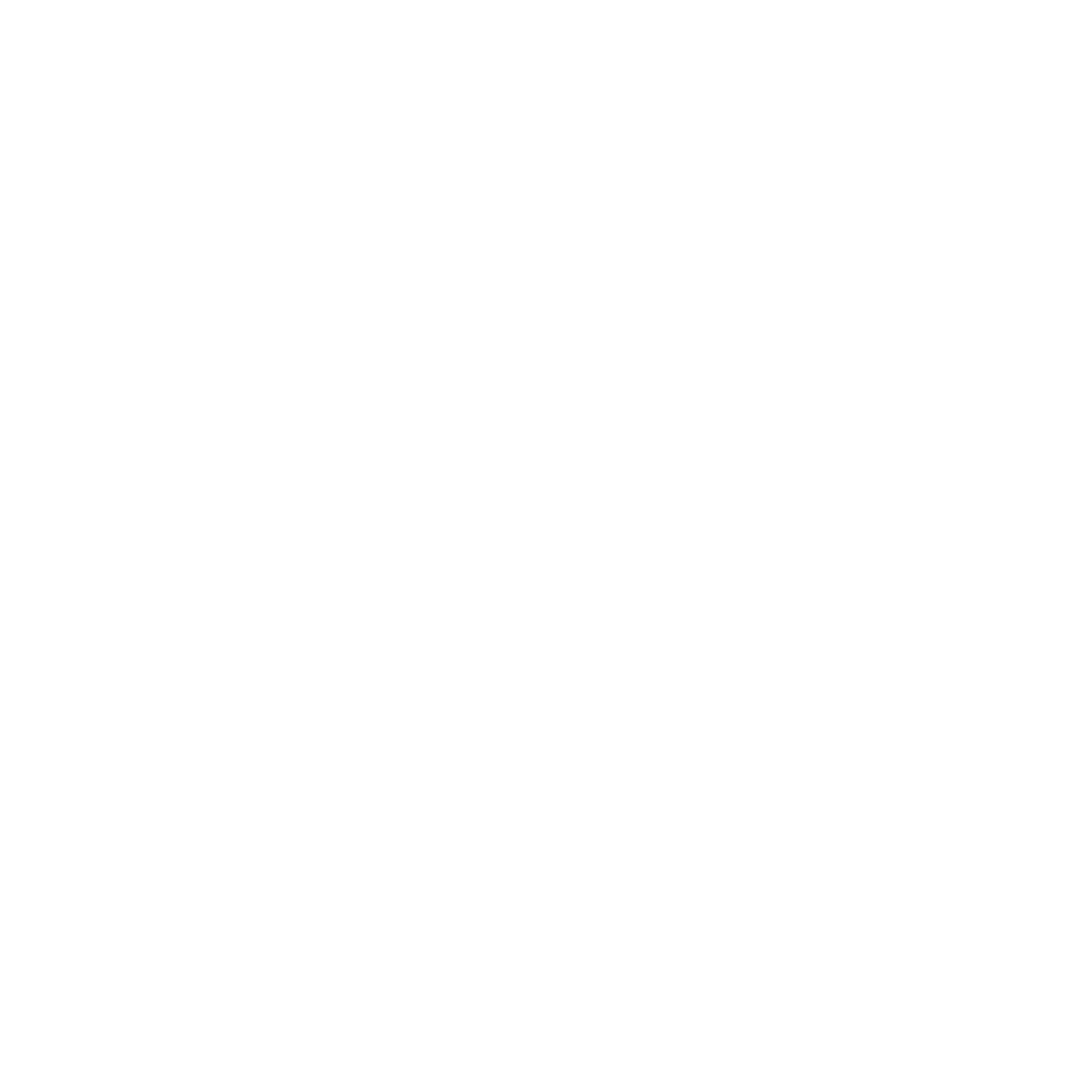 X Icon