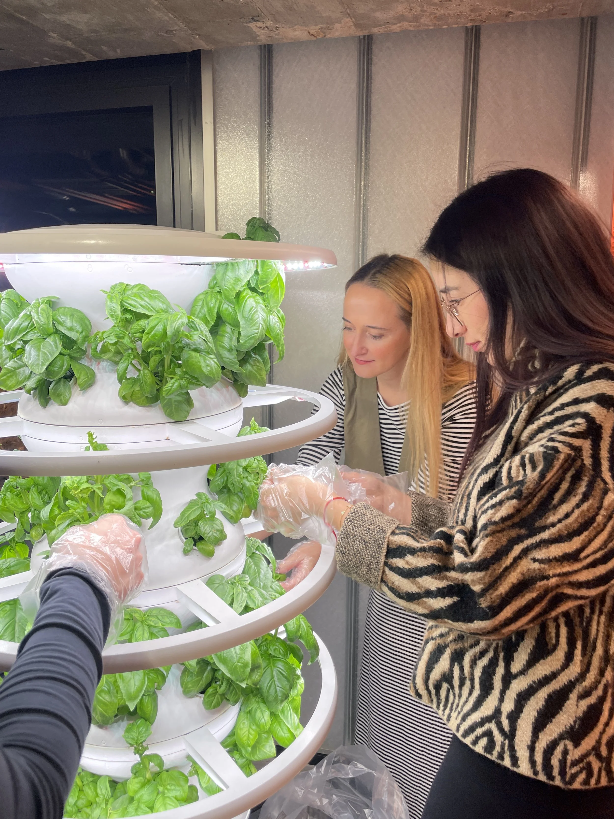 Estudiante sosteniendo una planta durante una actividad educativa