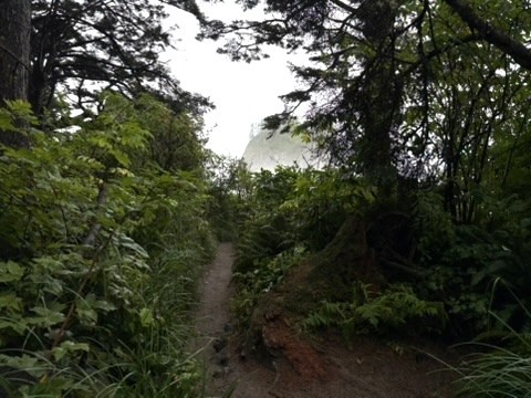 The rainforest boardwalk trail leading down to Second Beach