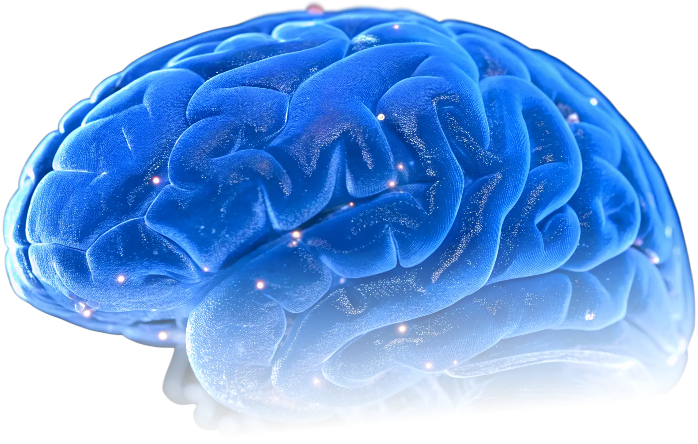 A glowing blue brain representing the ability to work better, study smarter, and live fully.