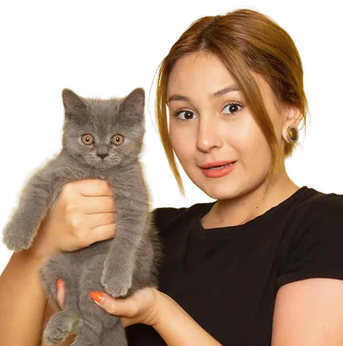 Woman holding small gray kitten