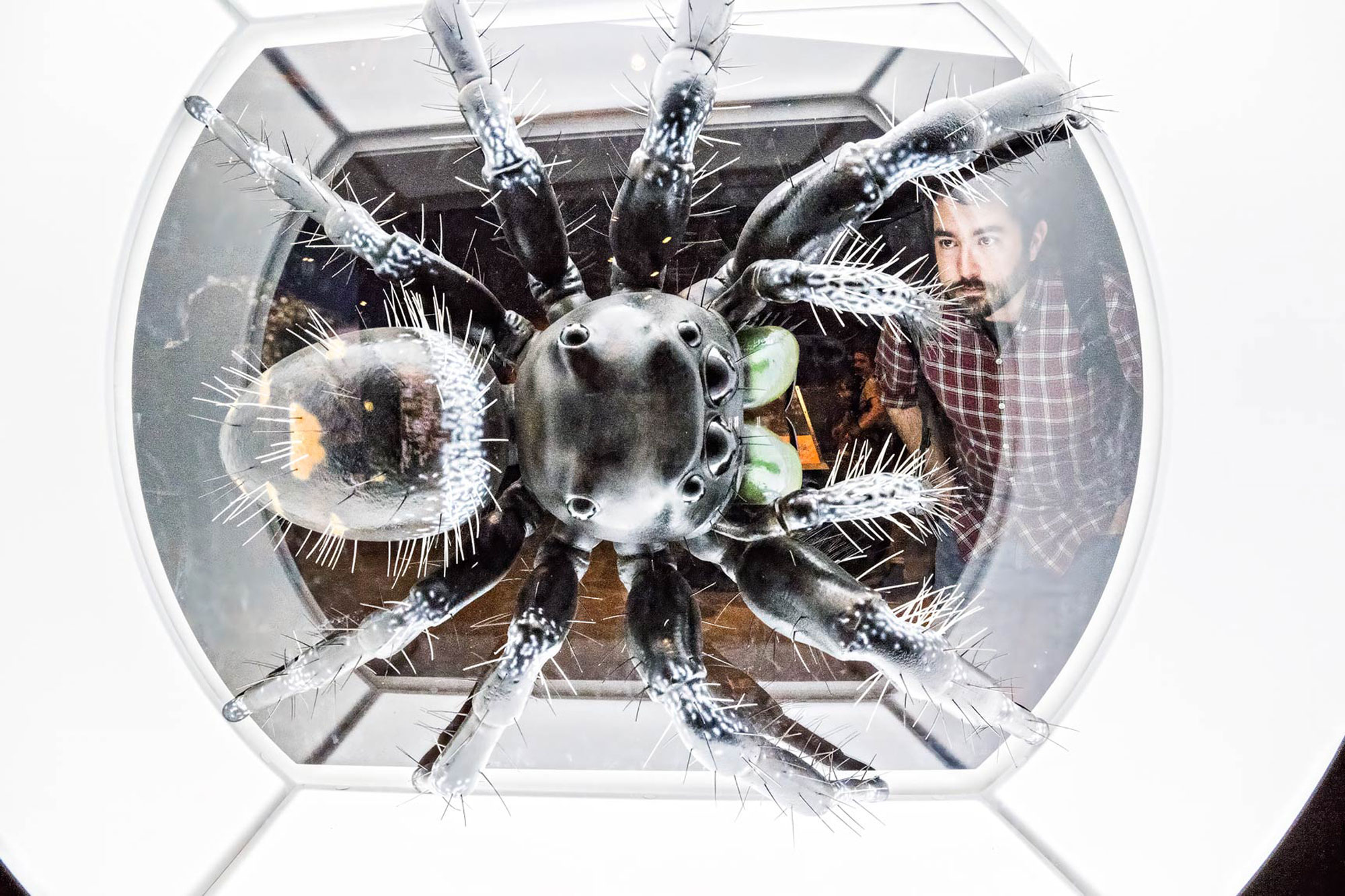 jonathan-phillips-photography-commercial-photo-20