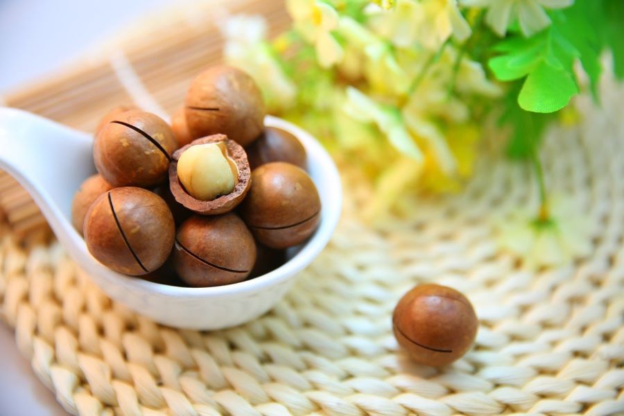 Noce di Macadamia