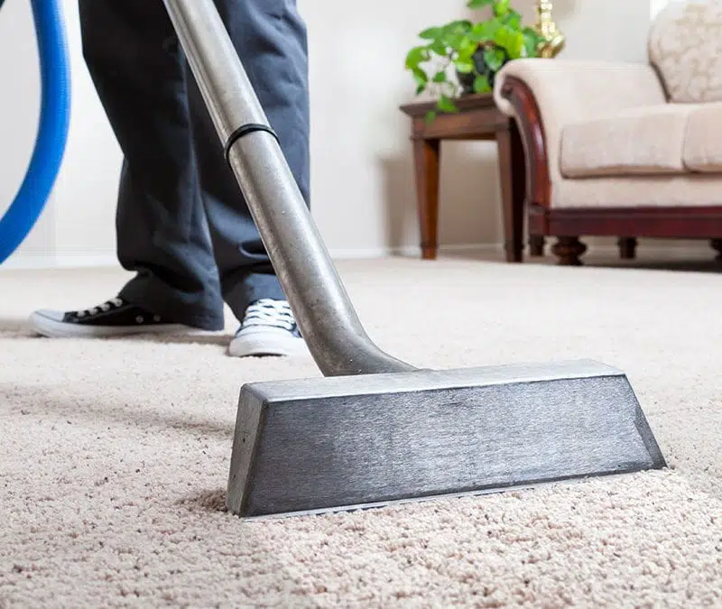 Low view of a carpet cleaning wand on beige carpet