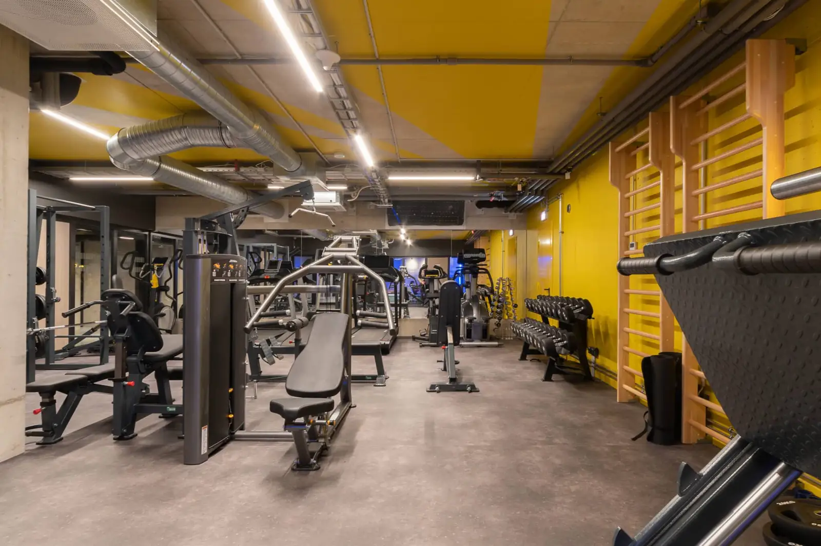 Gym in student accommodation in Riga with strength equipment, free weights and cardio machines