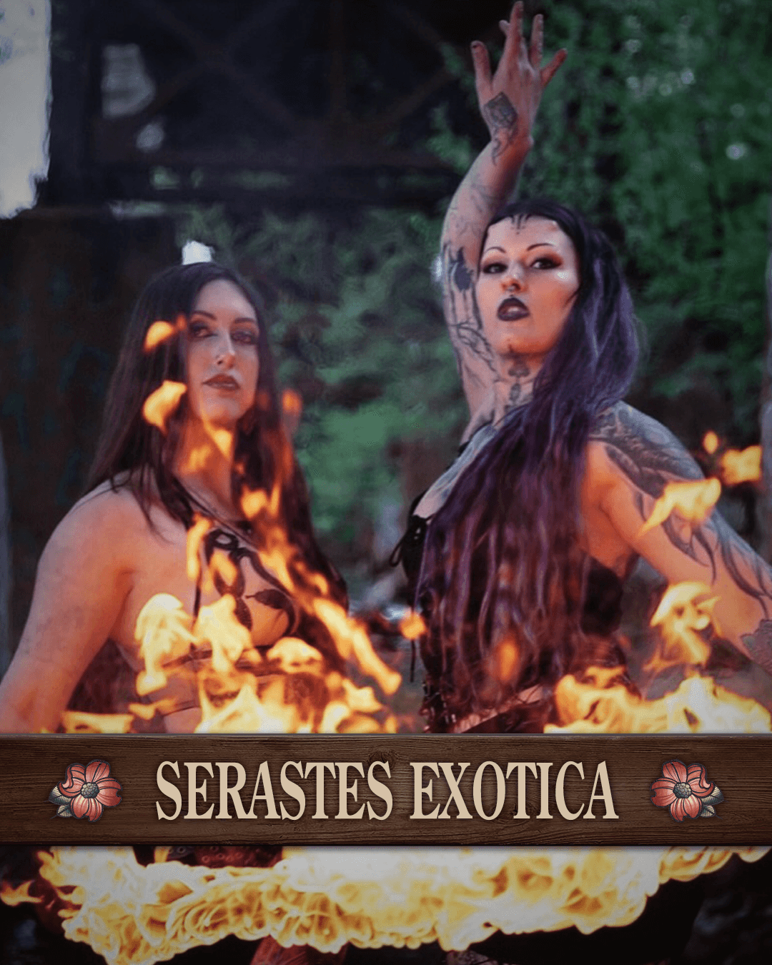 Headshots of Serastes Exotica Fire performers and tattoo artists at the richmond tattoo and arts convention