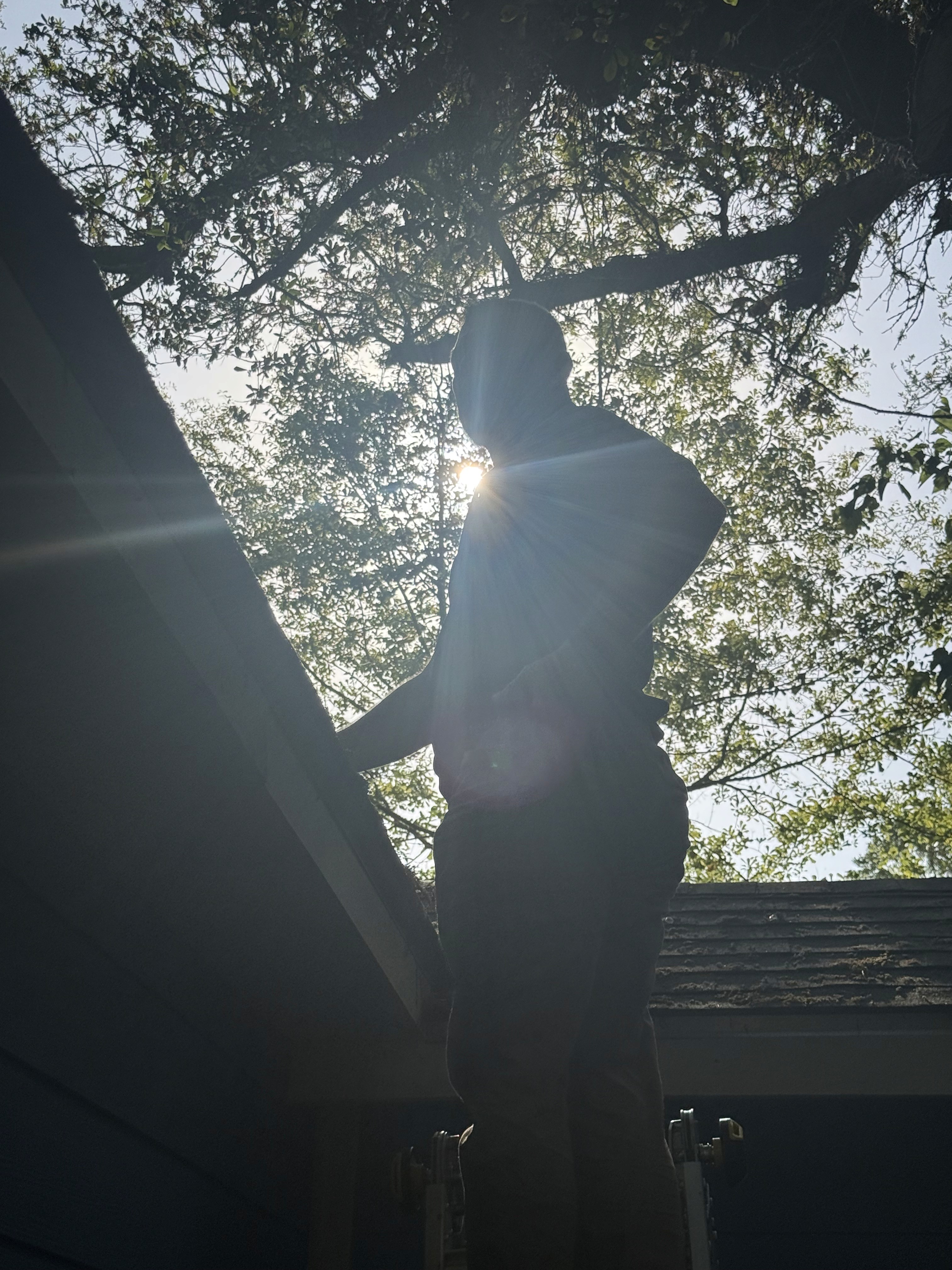 home inspector inspecting residential property in Mandeville Louisiana