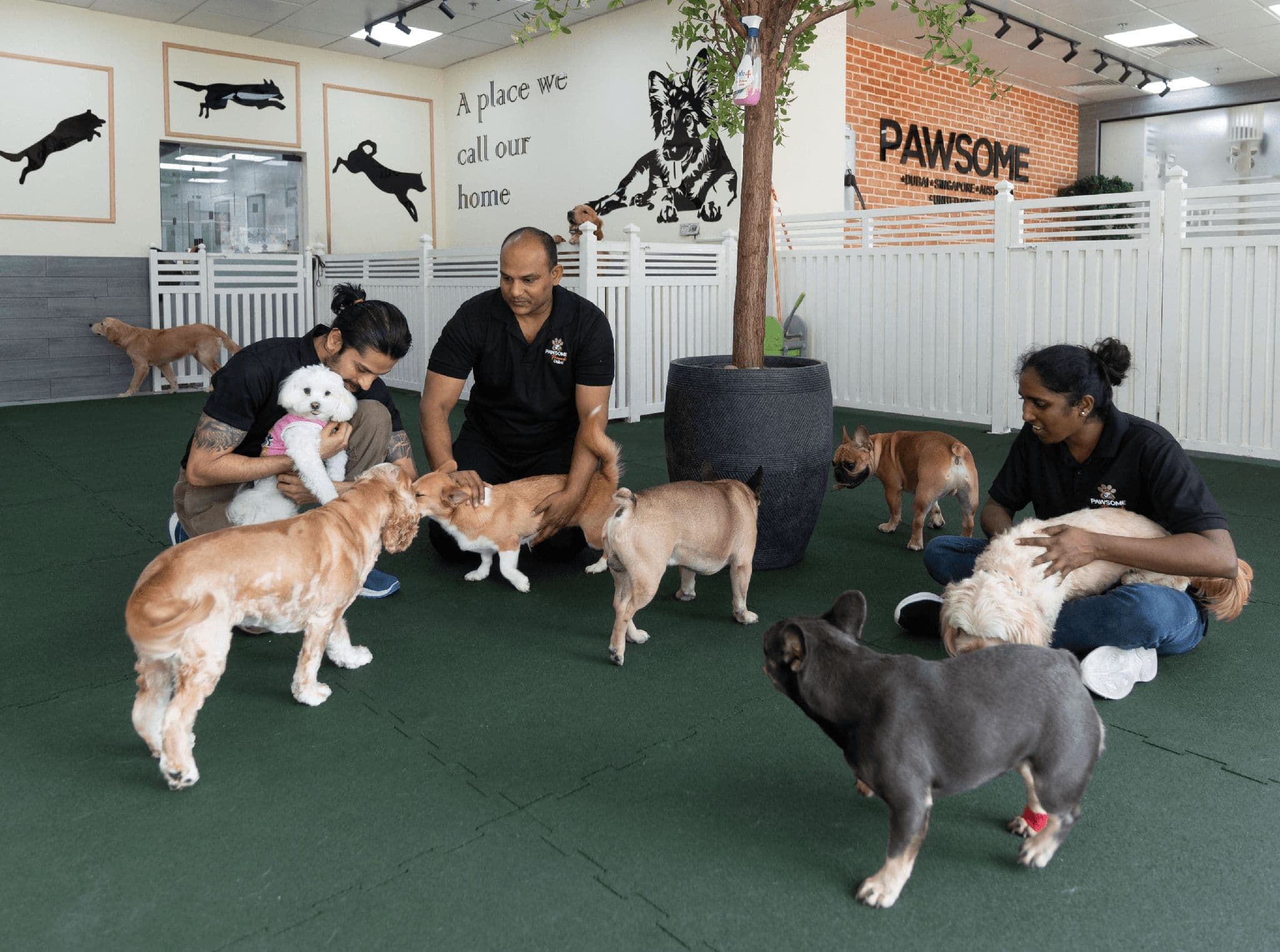 The pet attendants are playing with the dogs in the Pawsome Friends dog boarding facility. 