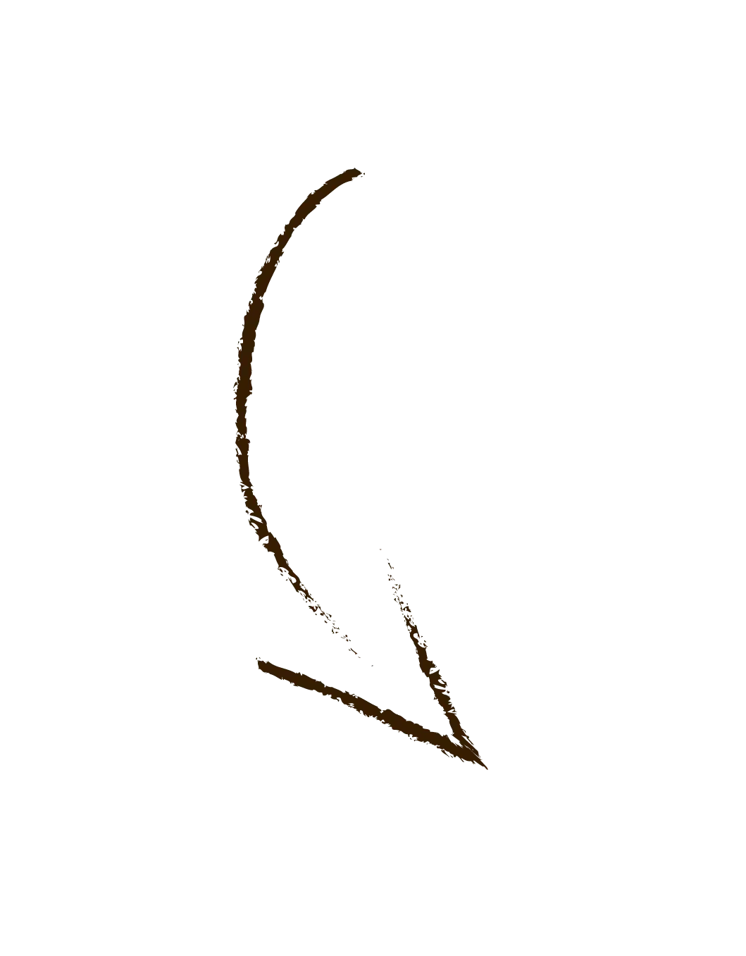 Flèche