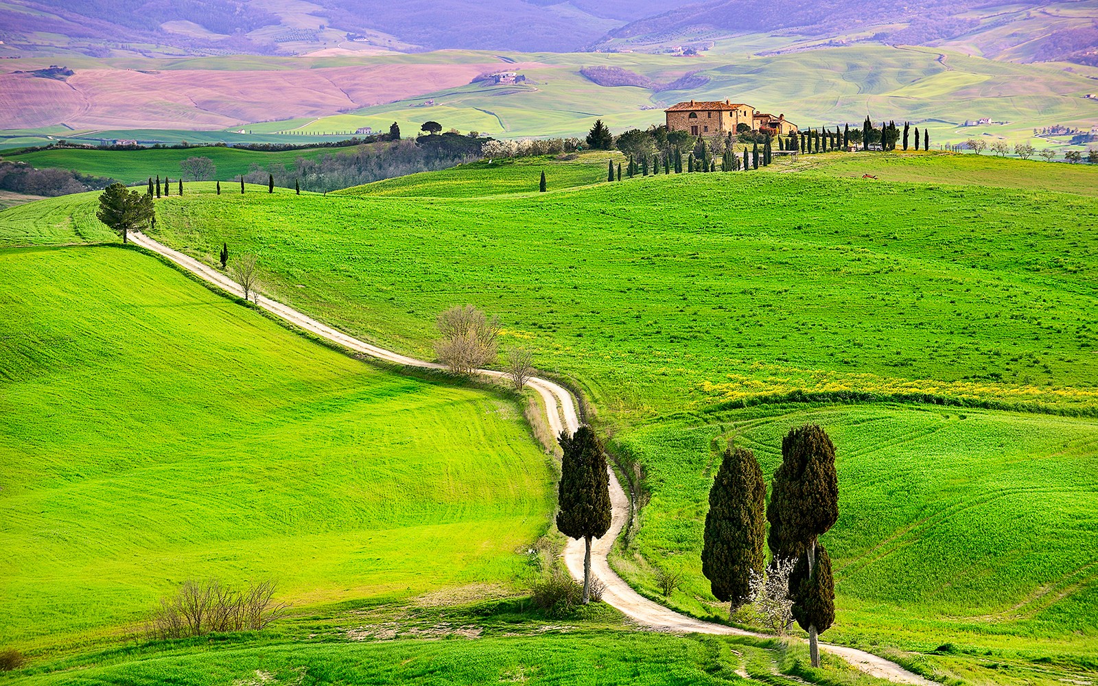 在瓦尔多尔恰的绿色山丘间蜿蜒而行的道路，远处有一座农舍。