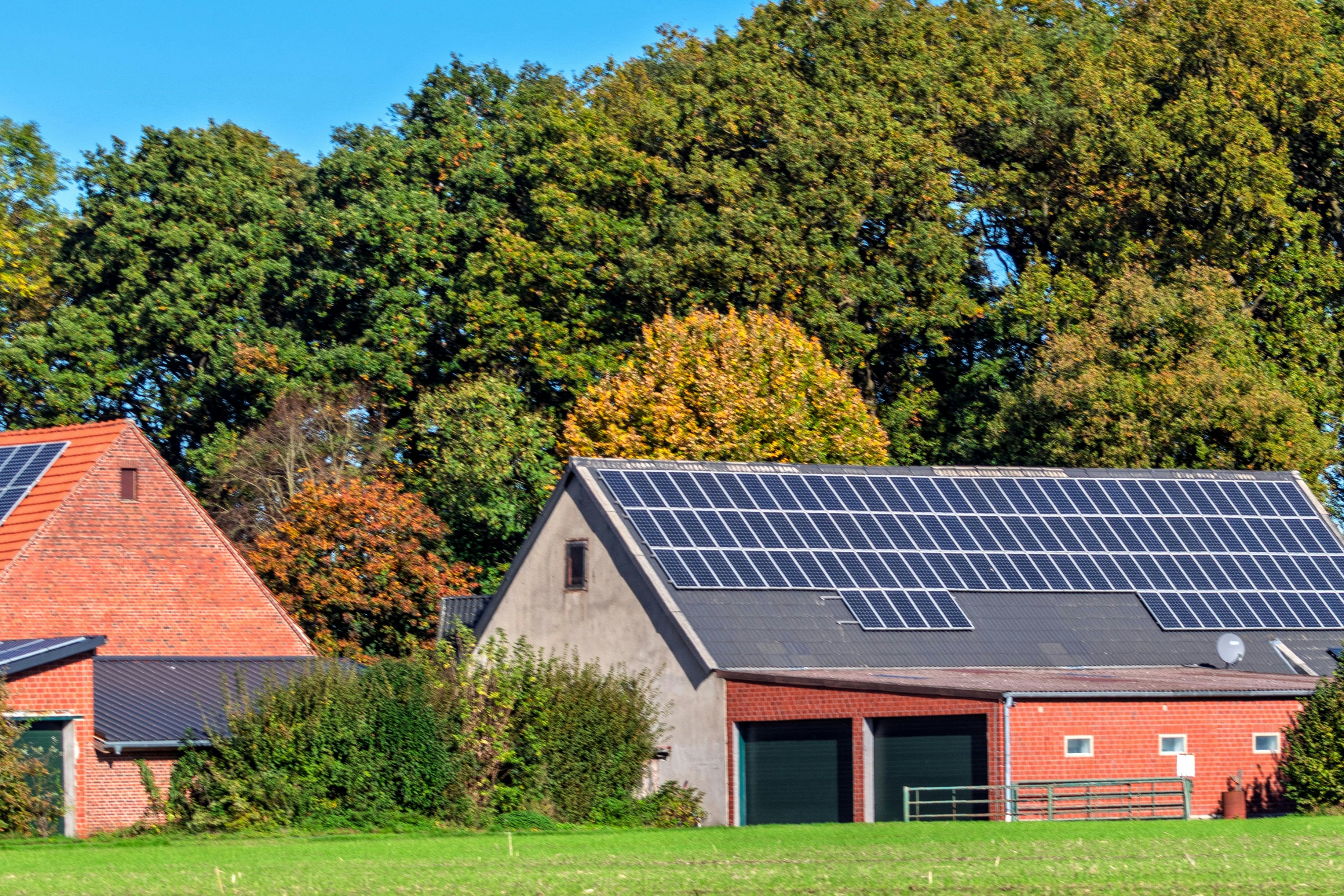 Barns with solar panels in a grassy field.