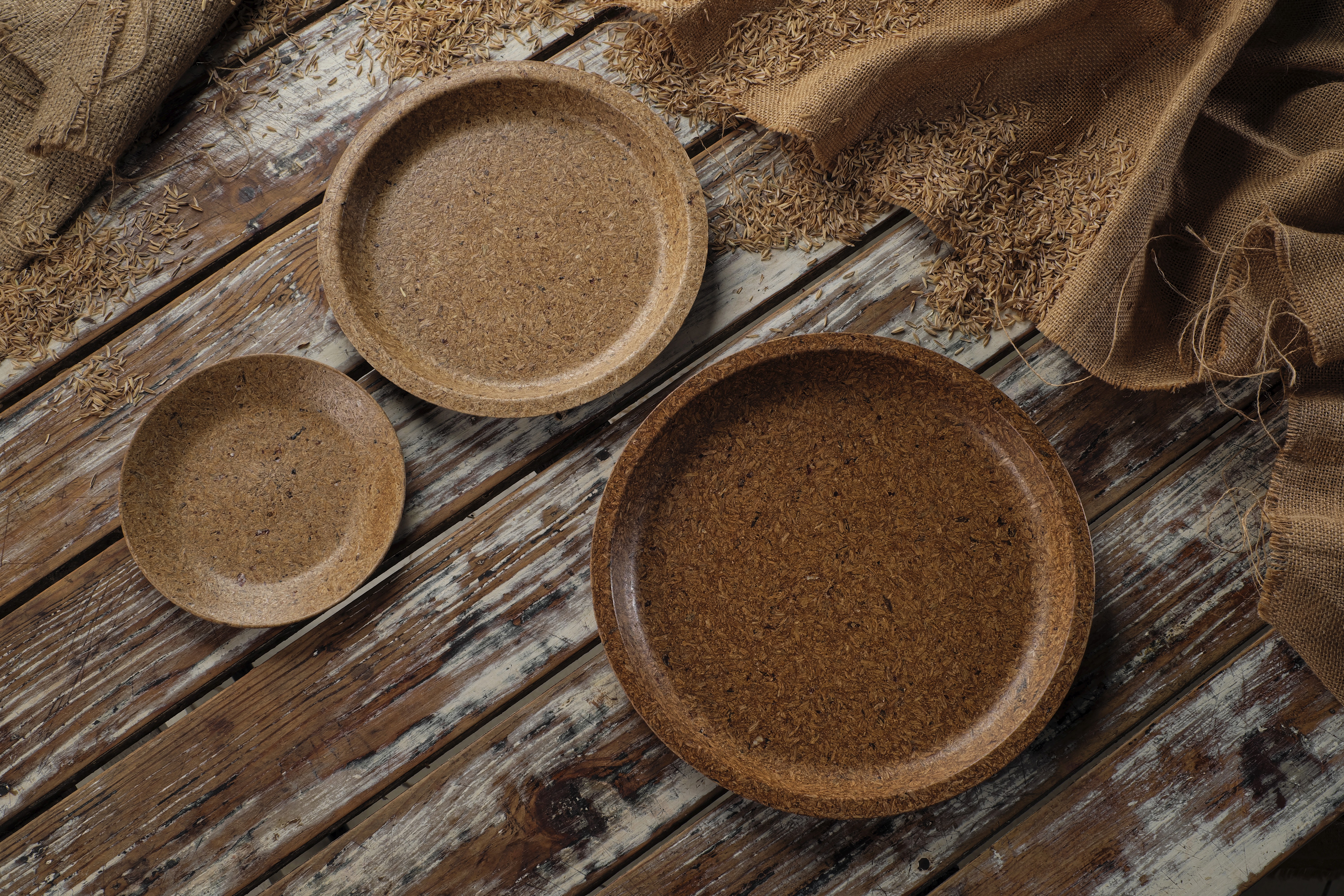 Earth Wing Plates
