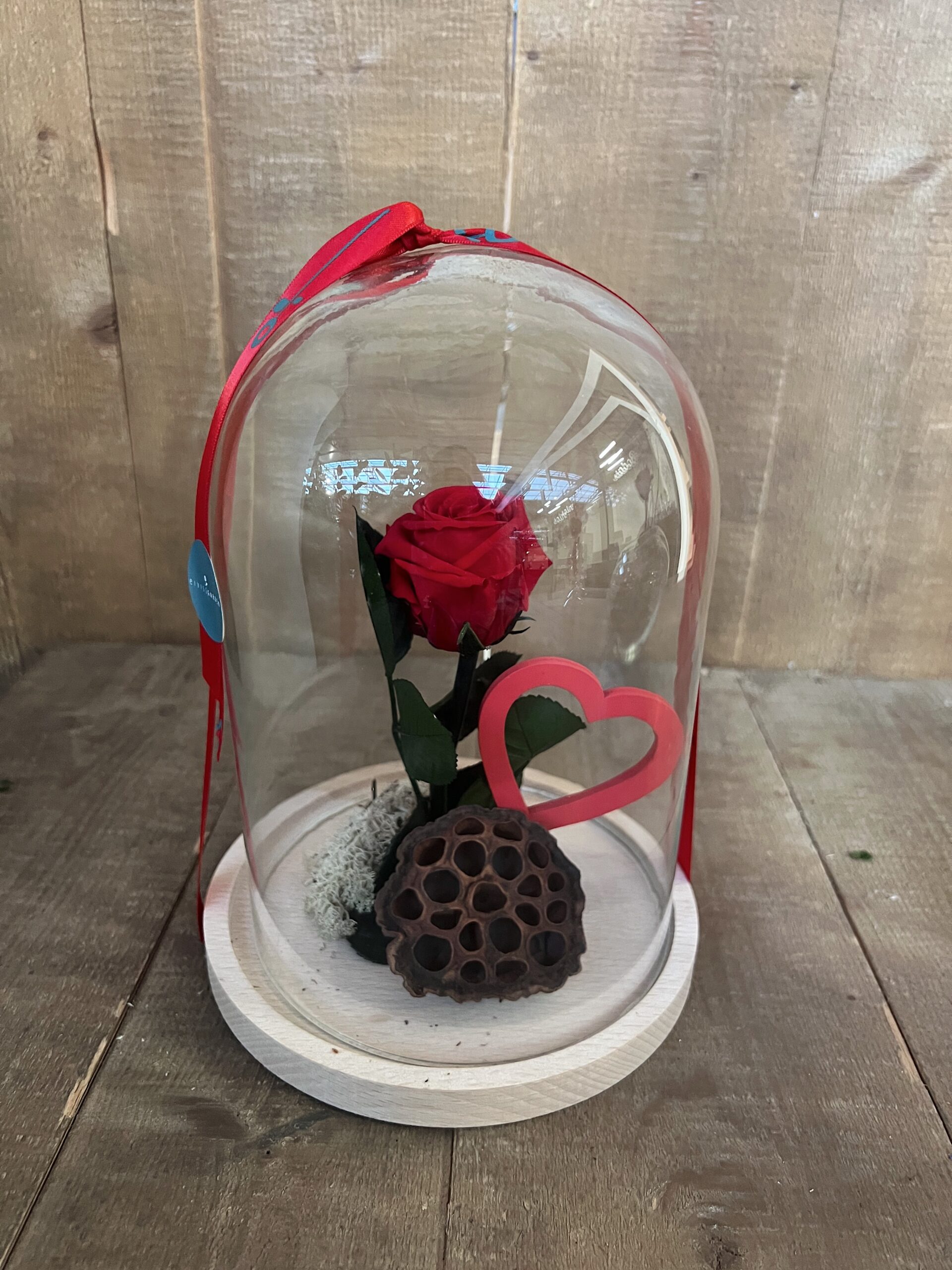 Plantas de regalo para enamorados