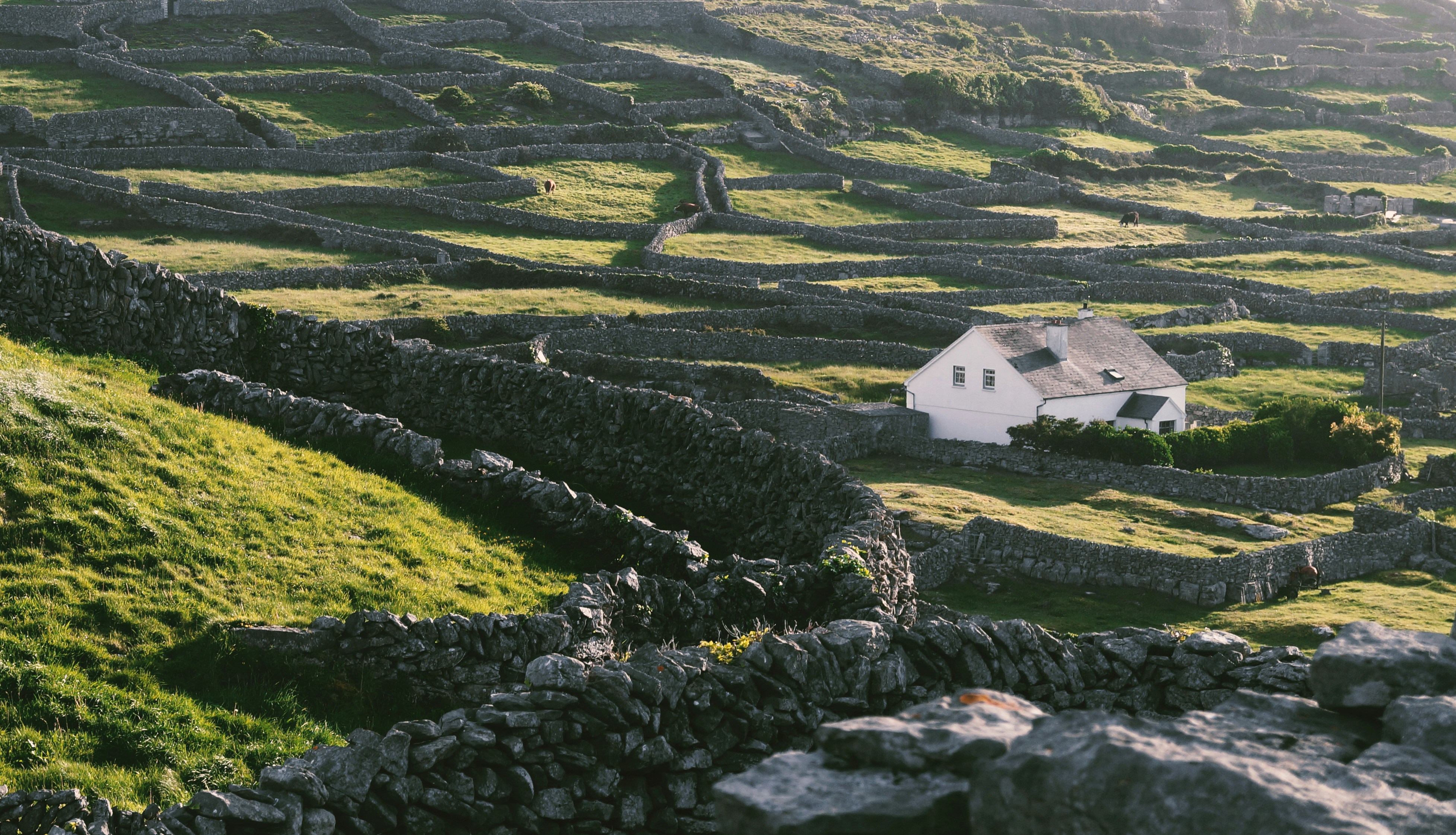 a white house sitting on top of a lush green hillside