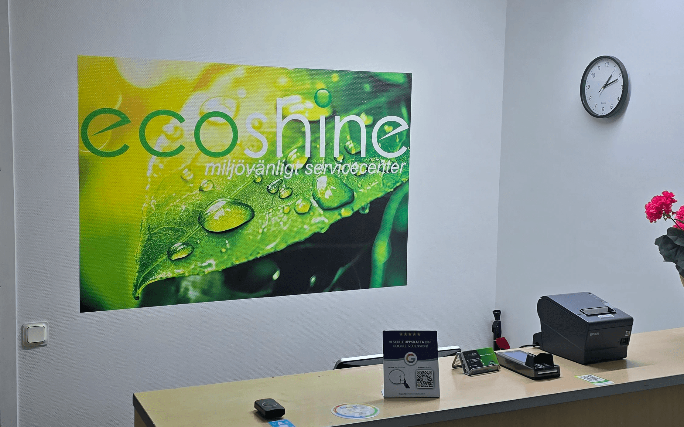 Single tree in a field with light rays.