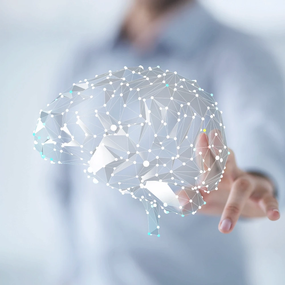 NeuroAI accelerating neuroscience