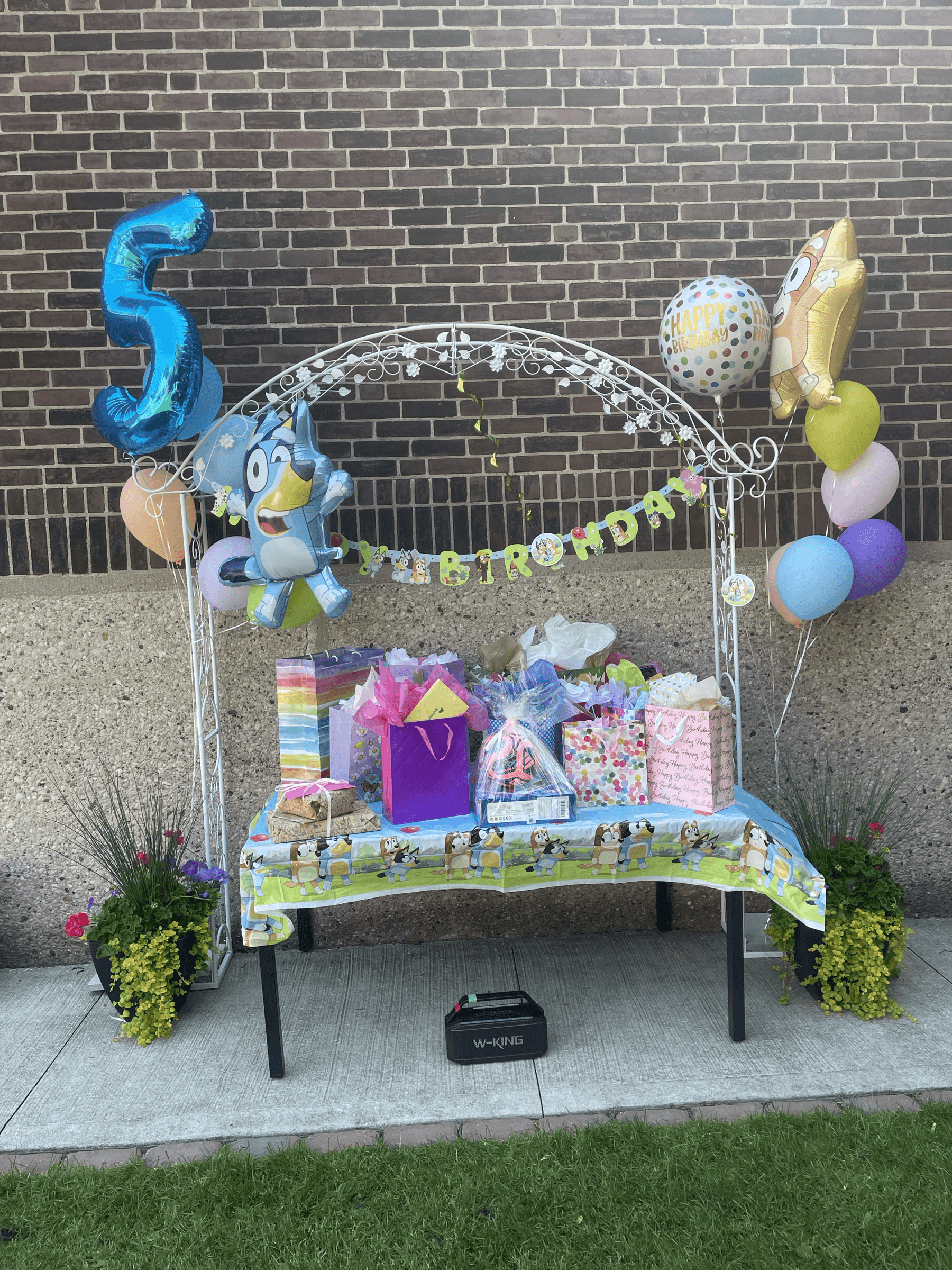 Image 30