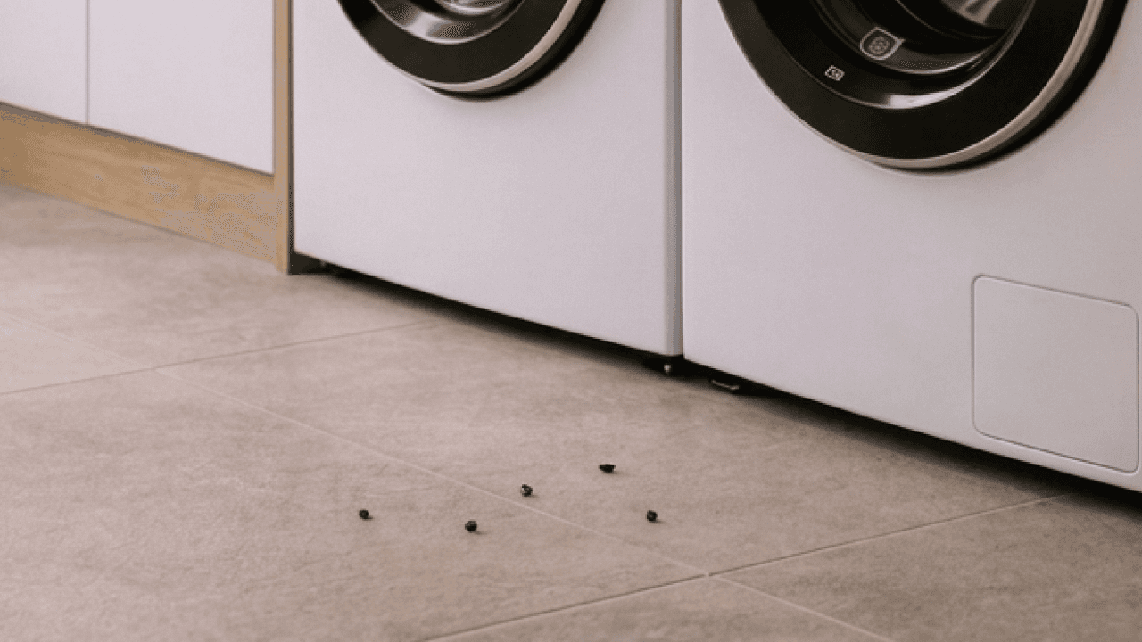 Déjections de nuisibles visibles sur le sol carrelé à côté d'un lave-linge