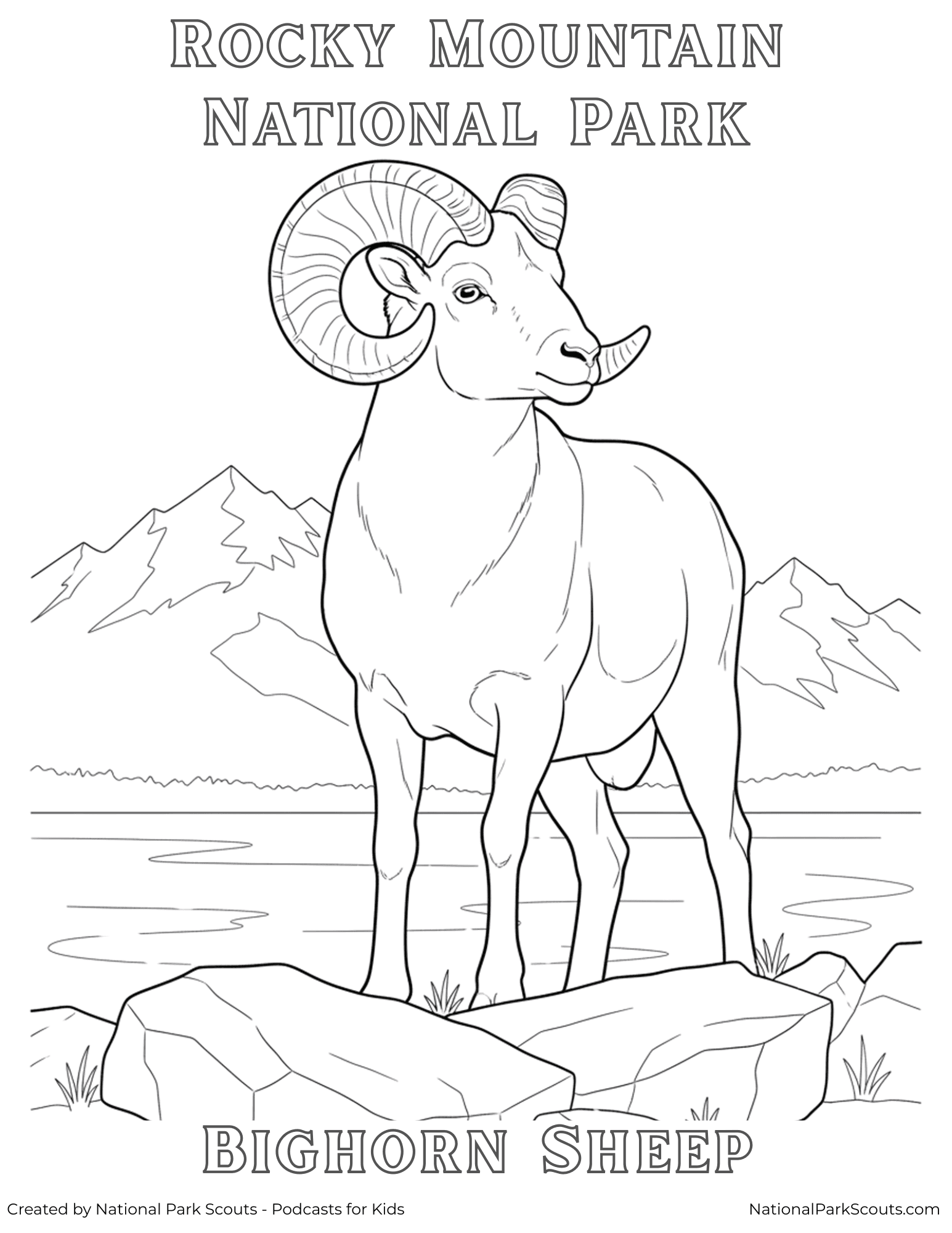 Bighorn sheep coloring page - Rocky Mountain National Park