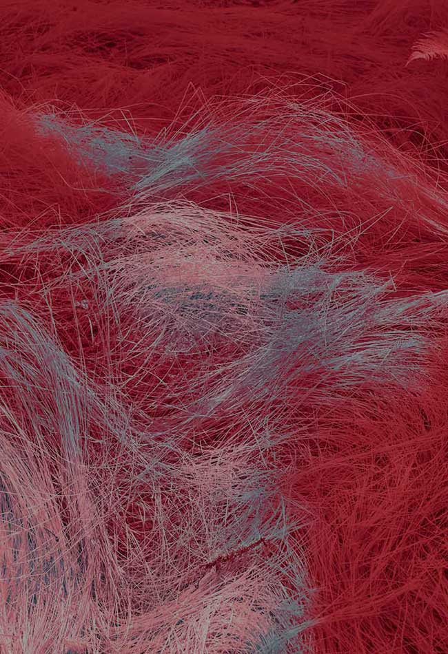 Mero & Co. Abstract Background Image