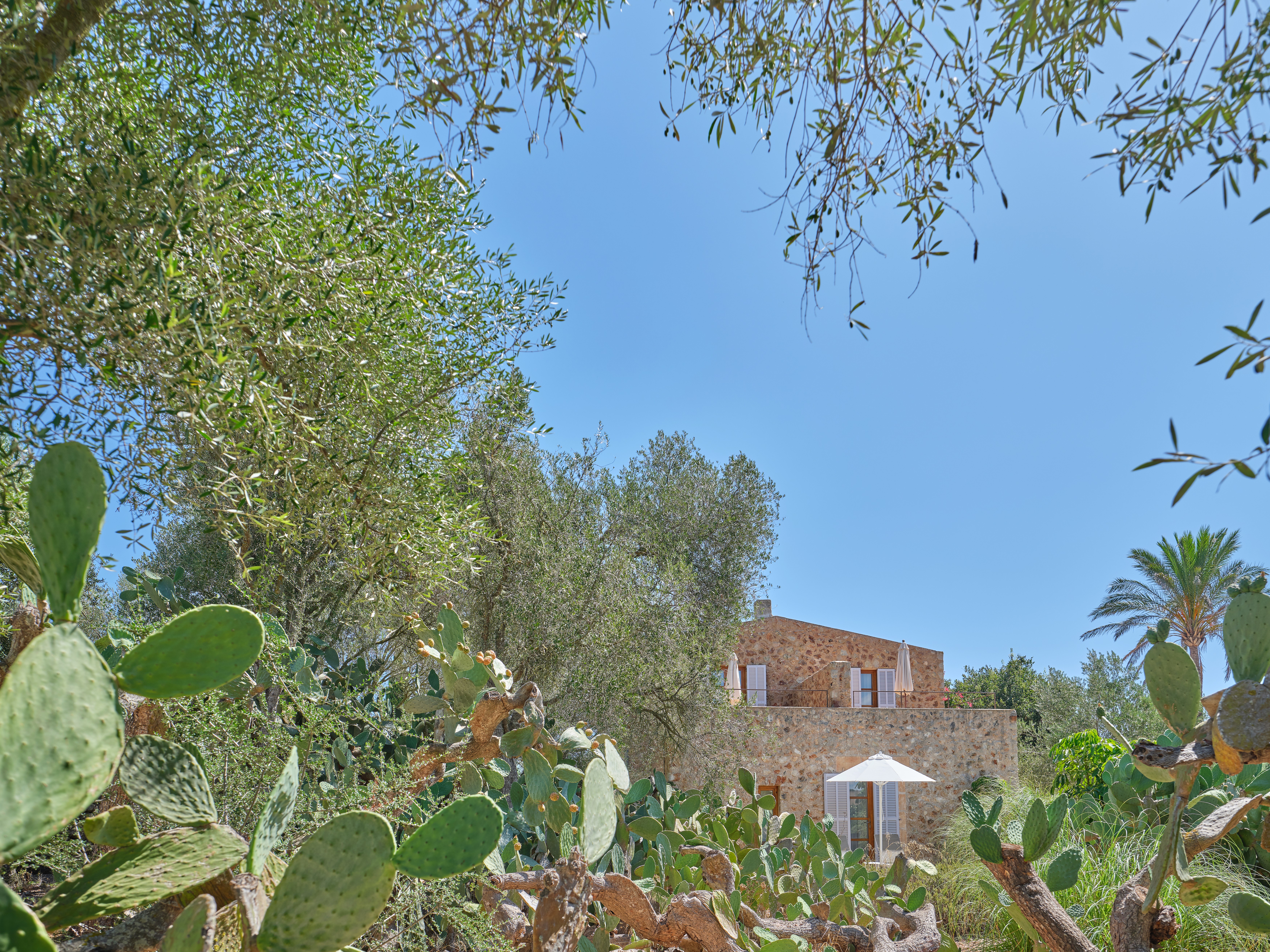 Gardens in Son Penya