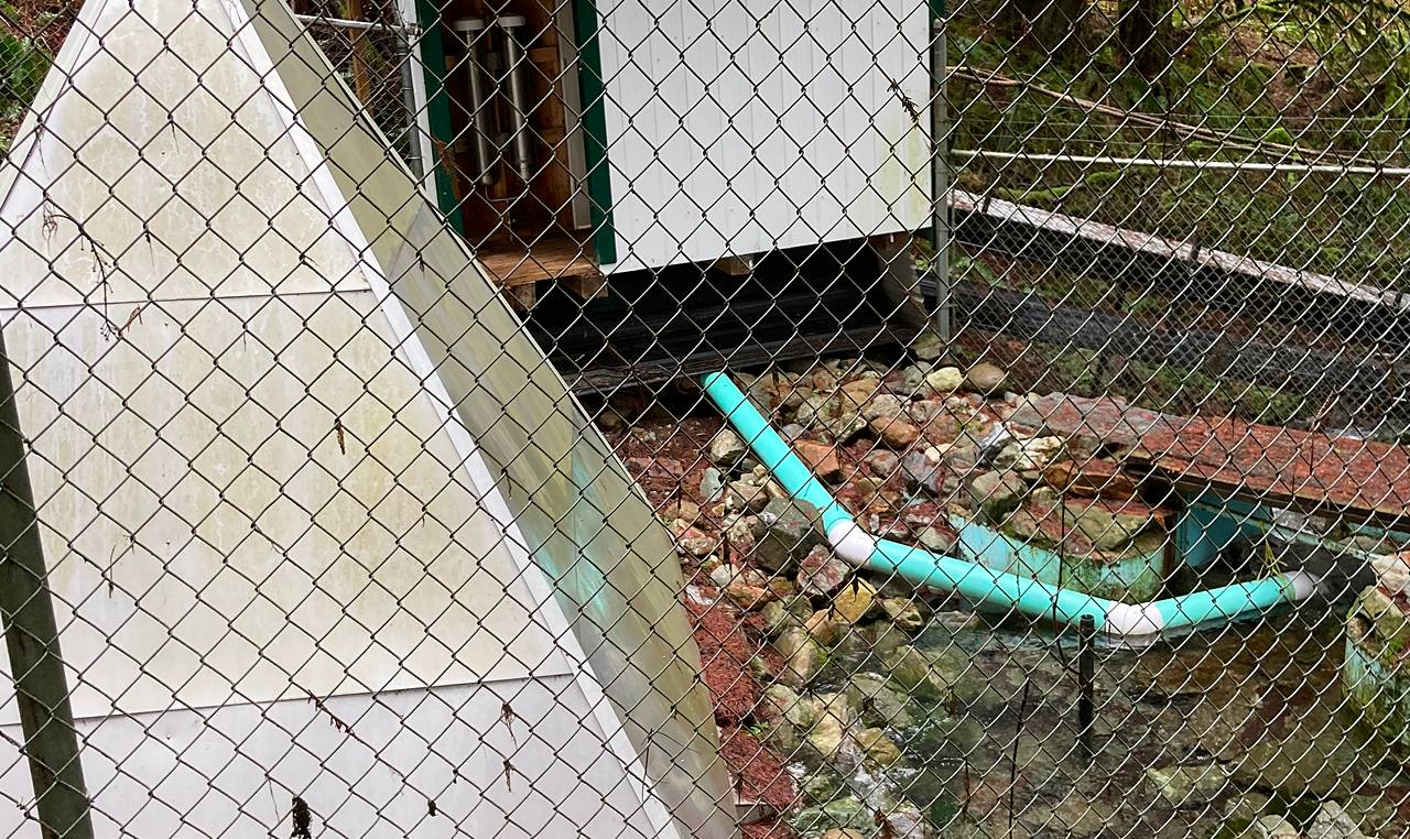 Spring water collection infrastructure with piping at natural water source