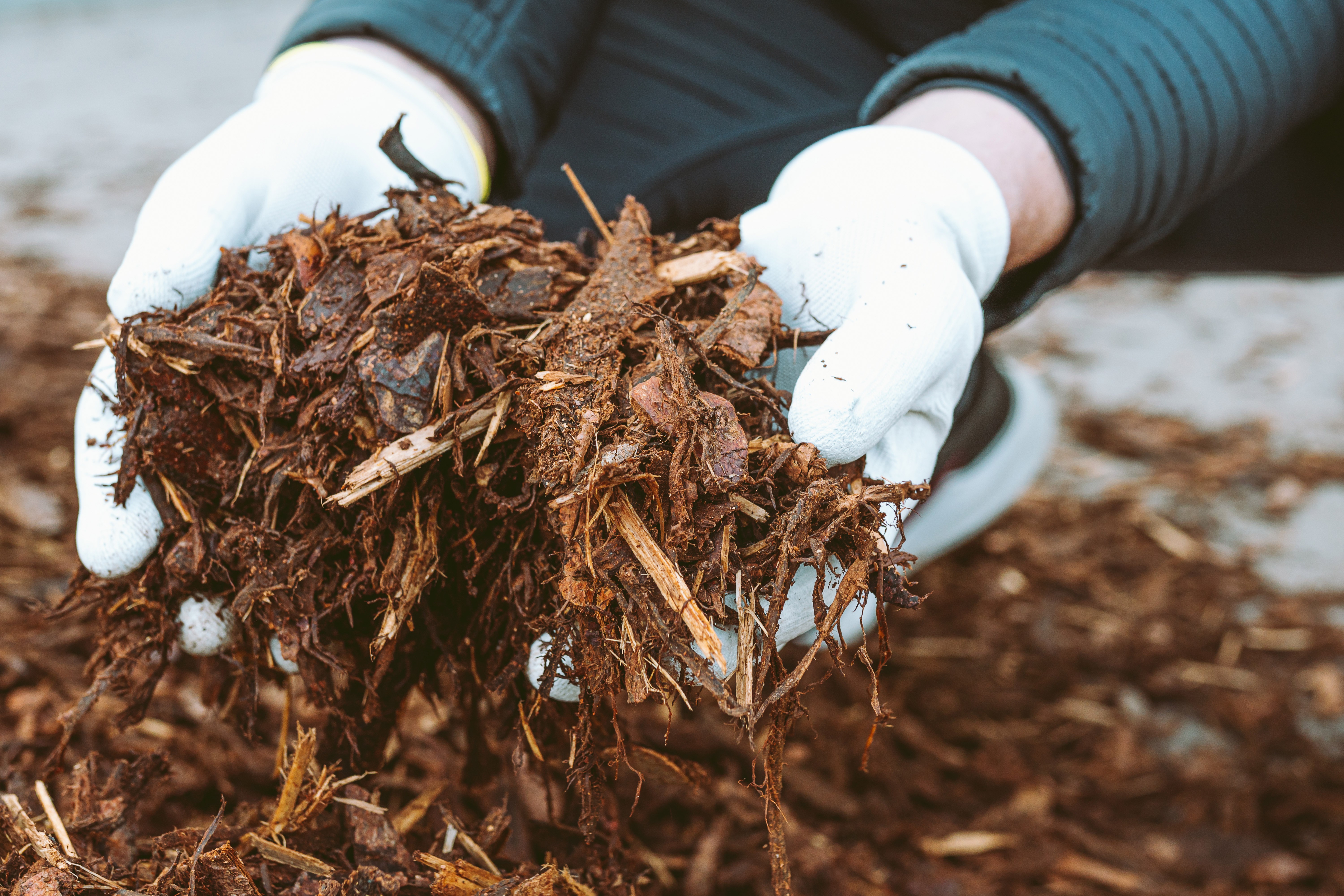 calculating mulch depth for plants