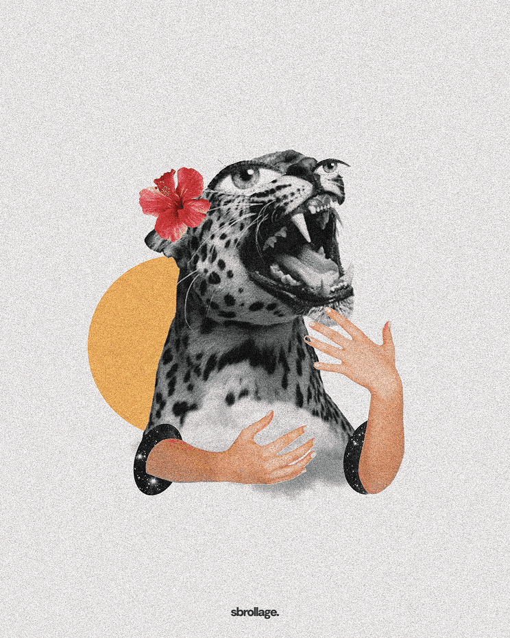 Stylized Artistic Look