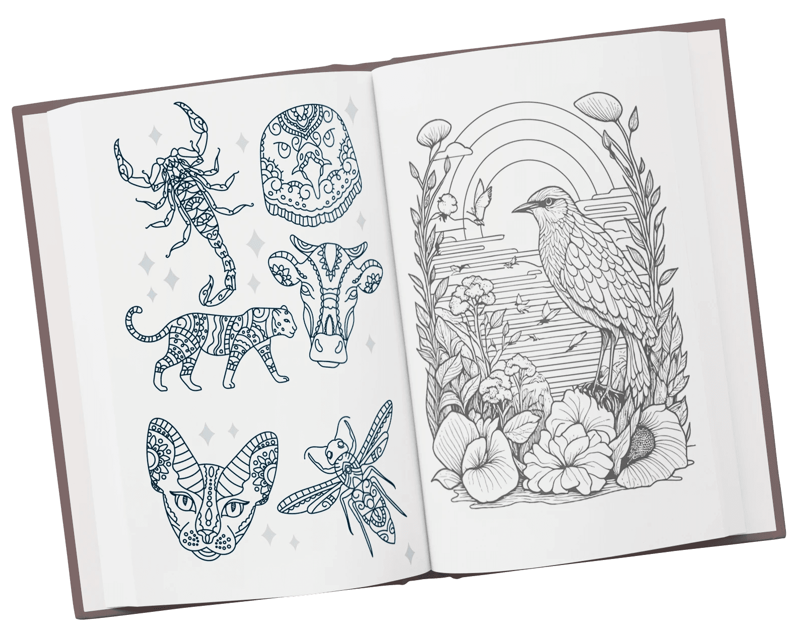 fitness interior kdp