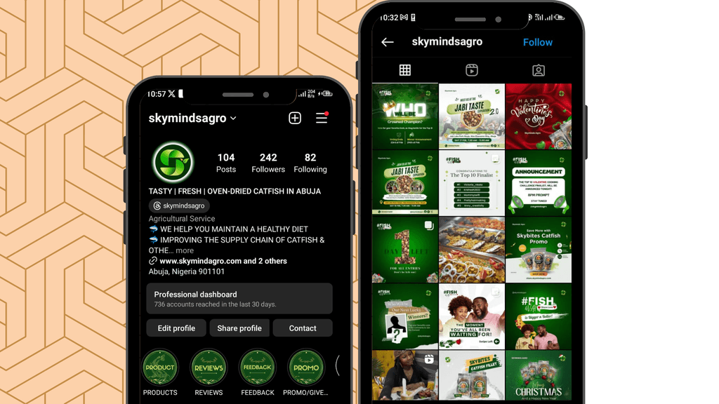 Works or Projects Done By Chibueze Emmanuel