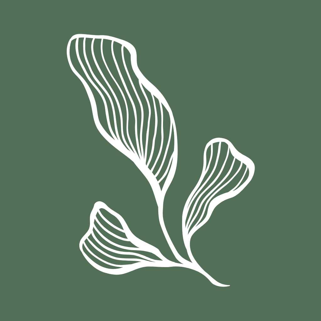 Dark Green leaves line drawing