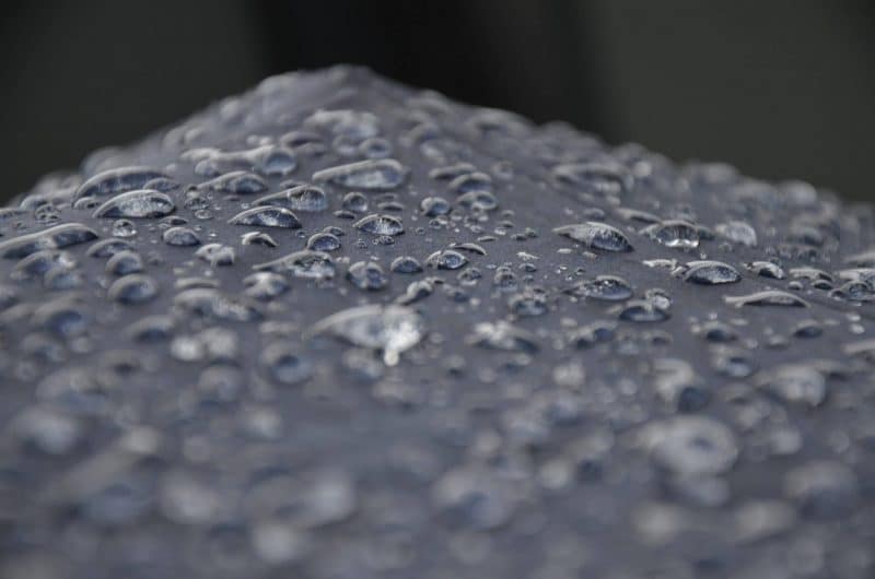rain drops