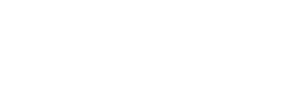 TikTok Ads