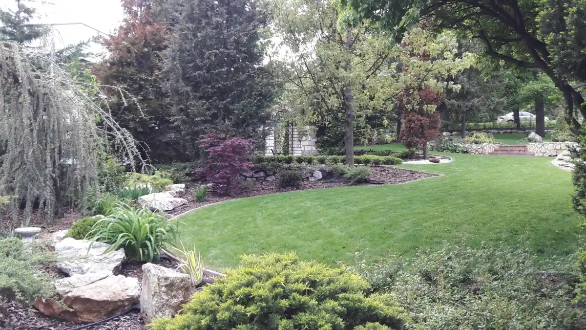 Sziklakert tulipánokkal és kertvilágítással miskolci kertben