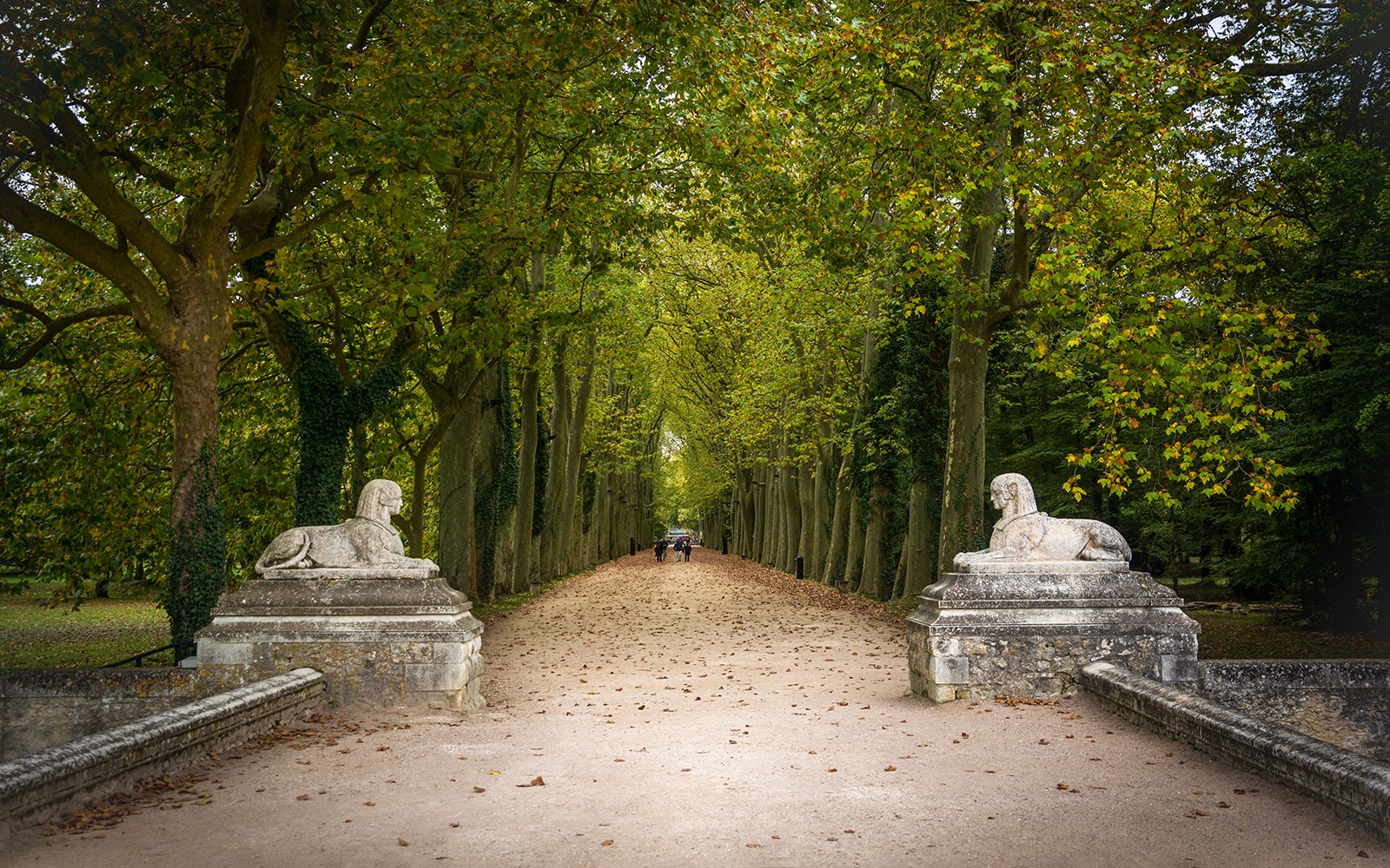 Pathway lined with trees and stone sphinxes at Chenonceau Castle, France.