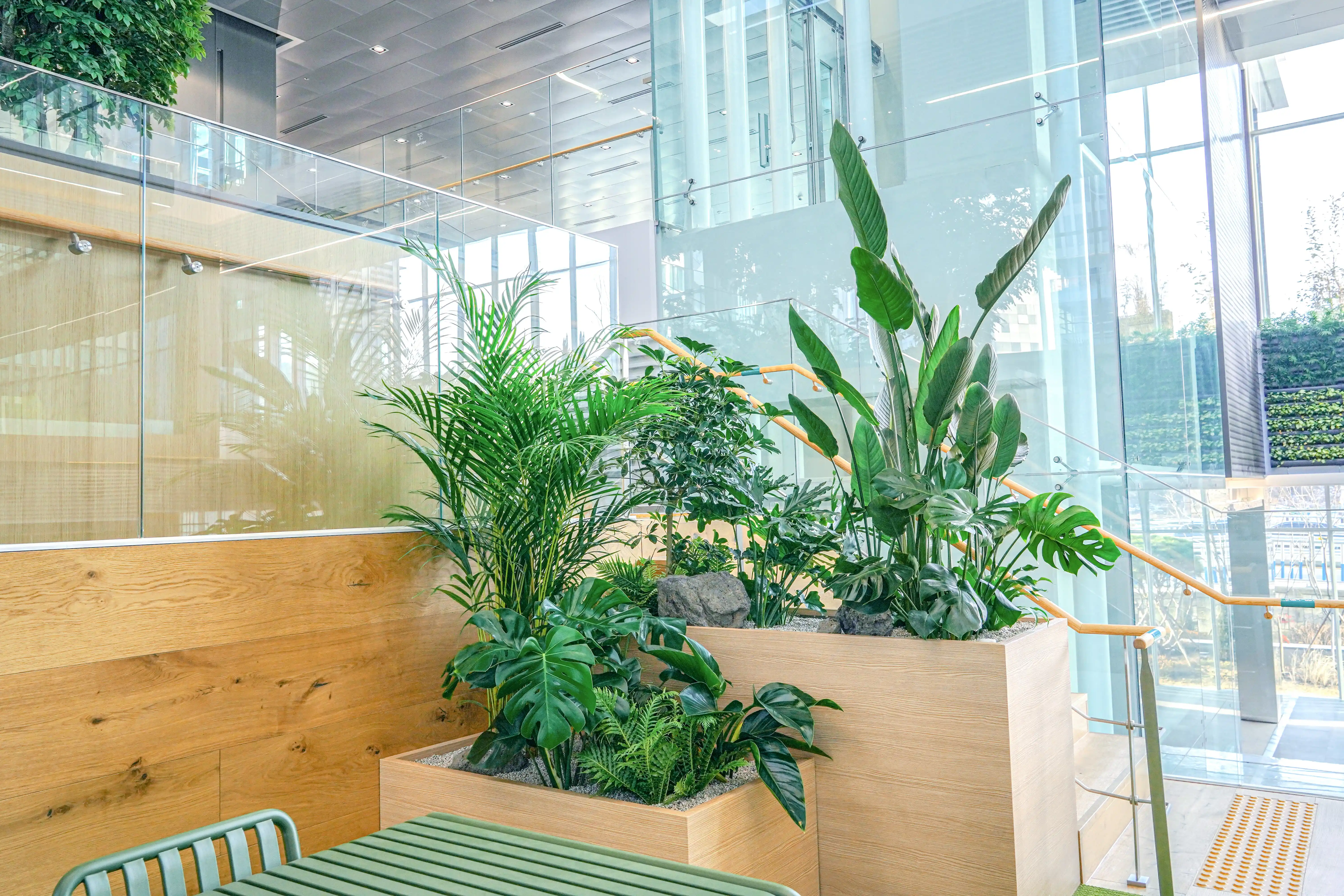 실내식물을 활용한 정원디자인