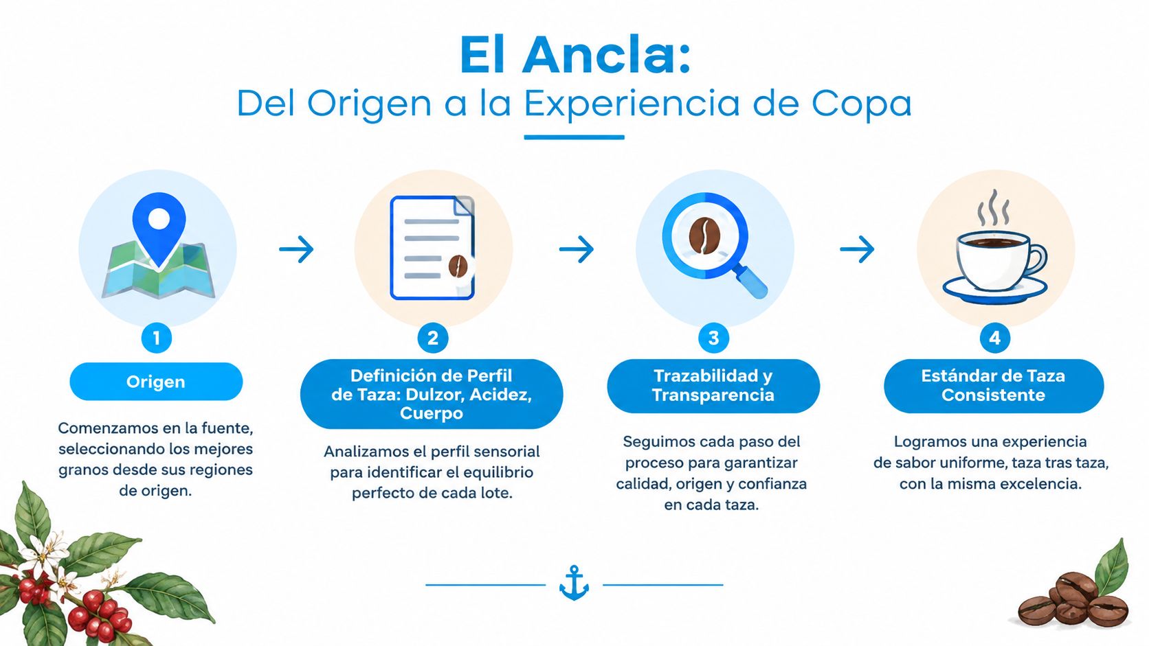 Infografía sobre el proceso de calidad de café desde el origen hasta la experiencia final en taza.