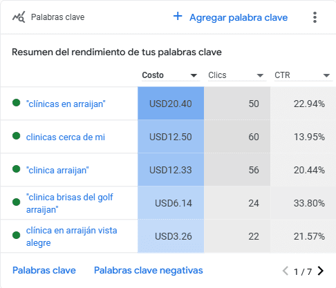 Palabras clave con mayor rendimiento en la campaña médica de la Clínica María de Jesús en Arraiján, incluyendo ‘clínicas en Arraiján’ y ‘clínica Brisas del Golf’, con CTR superiores al 20%