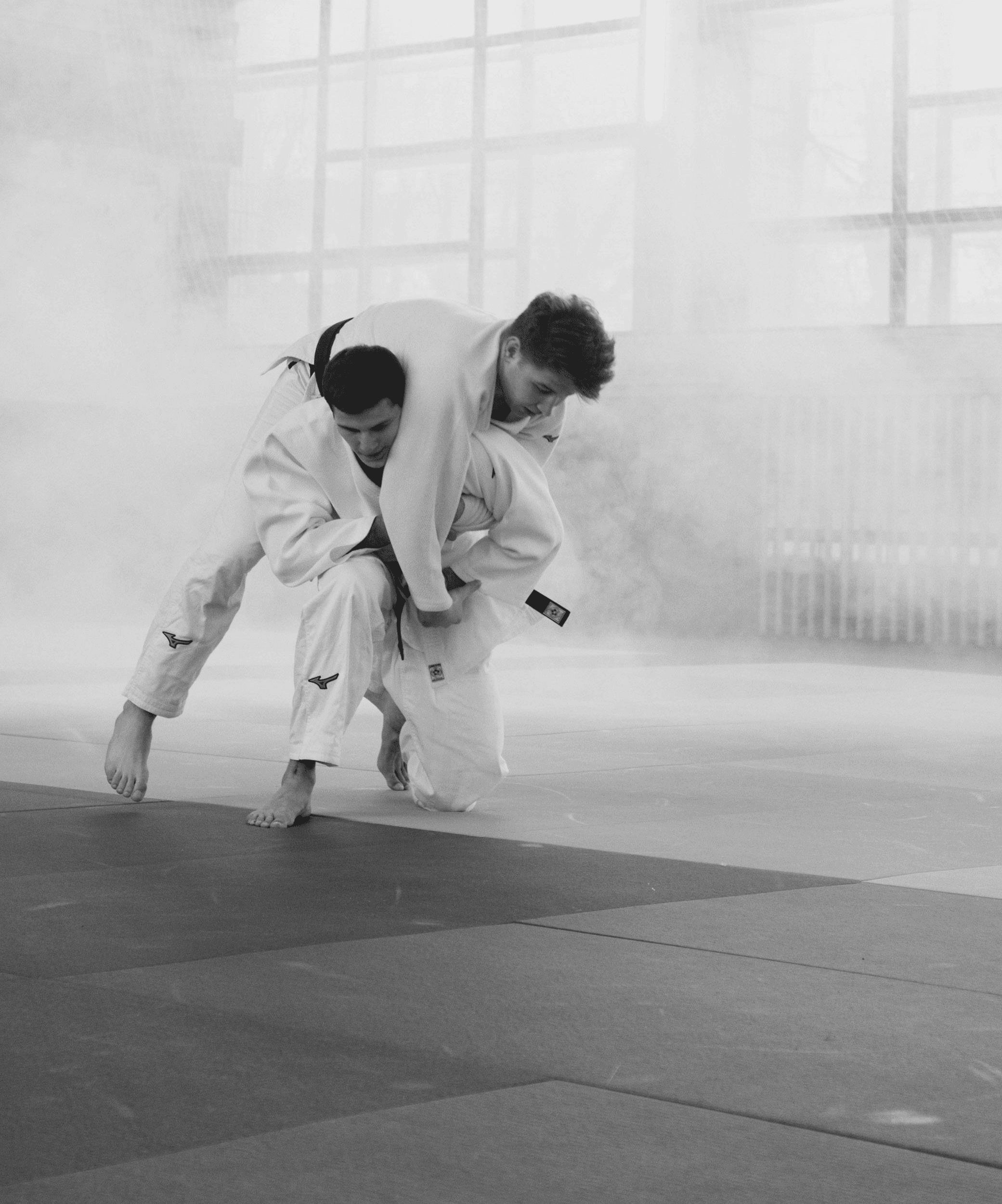 Judoka-Judo club decines